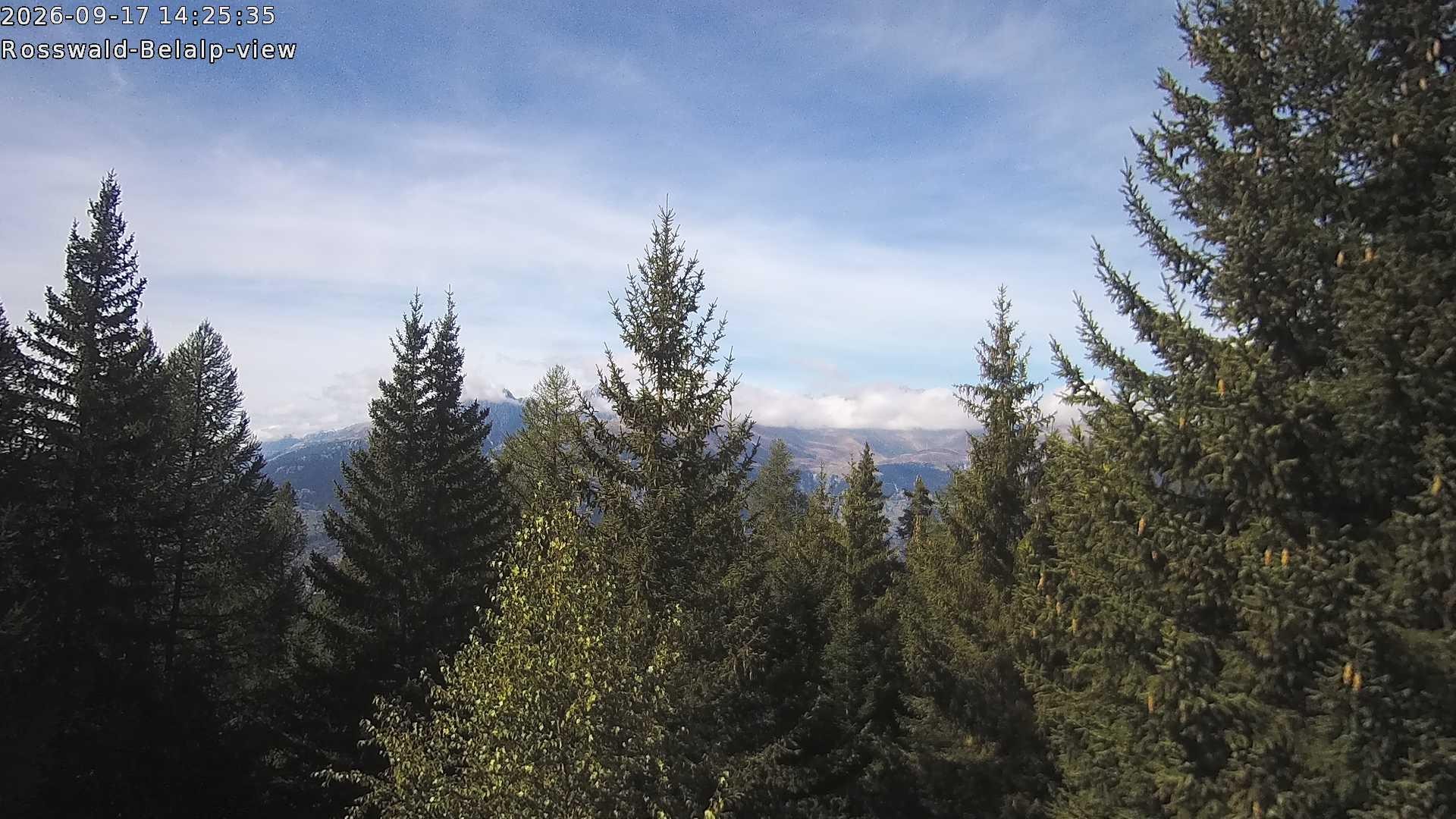 Archived image Webcam Rosswald - Bärgfriedu