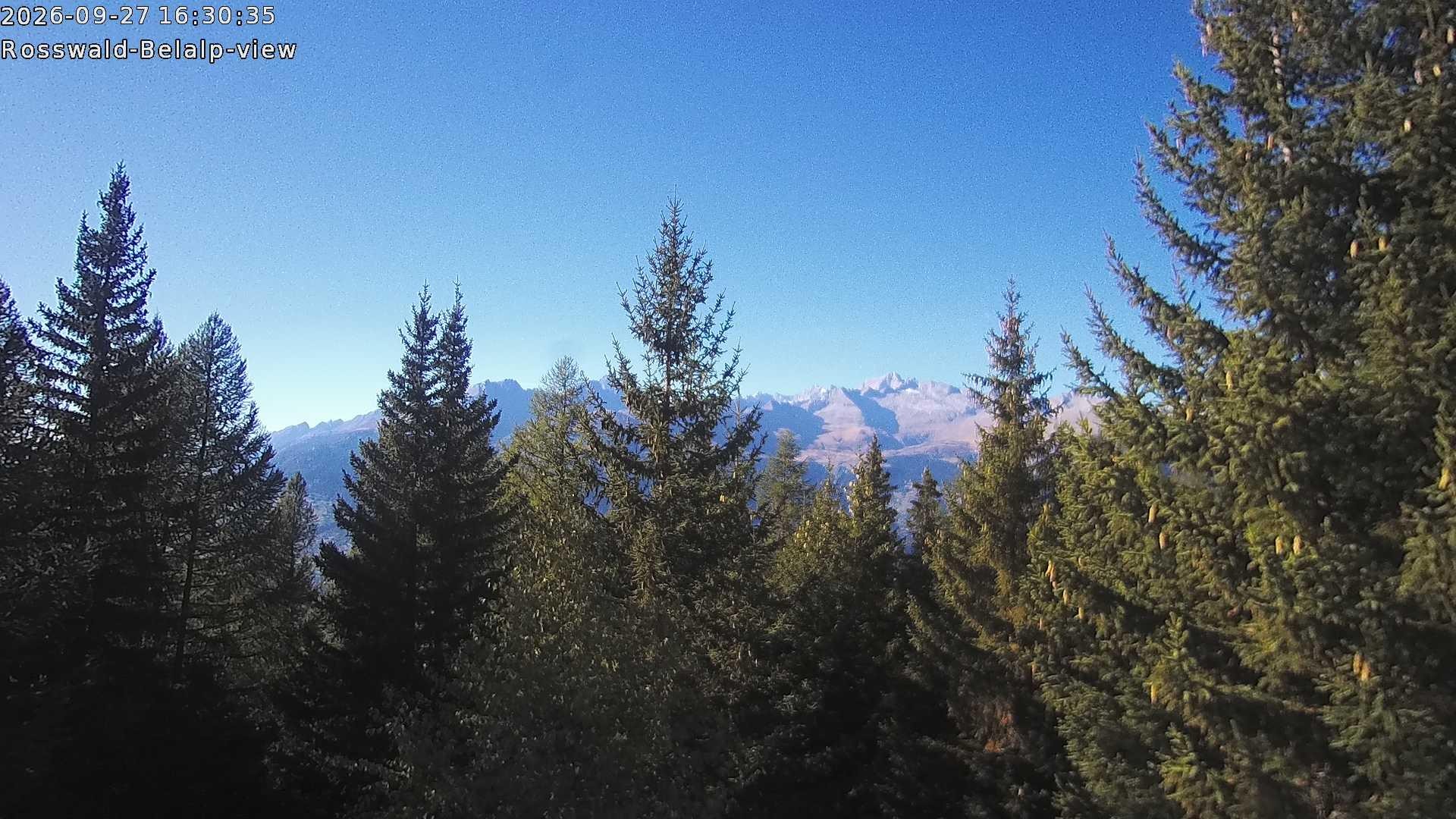 Archiv Foto Webcam Rosswald - Chalet Bergfriede