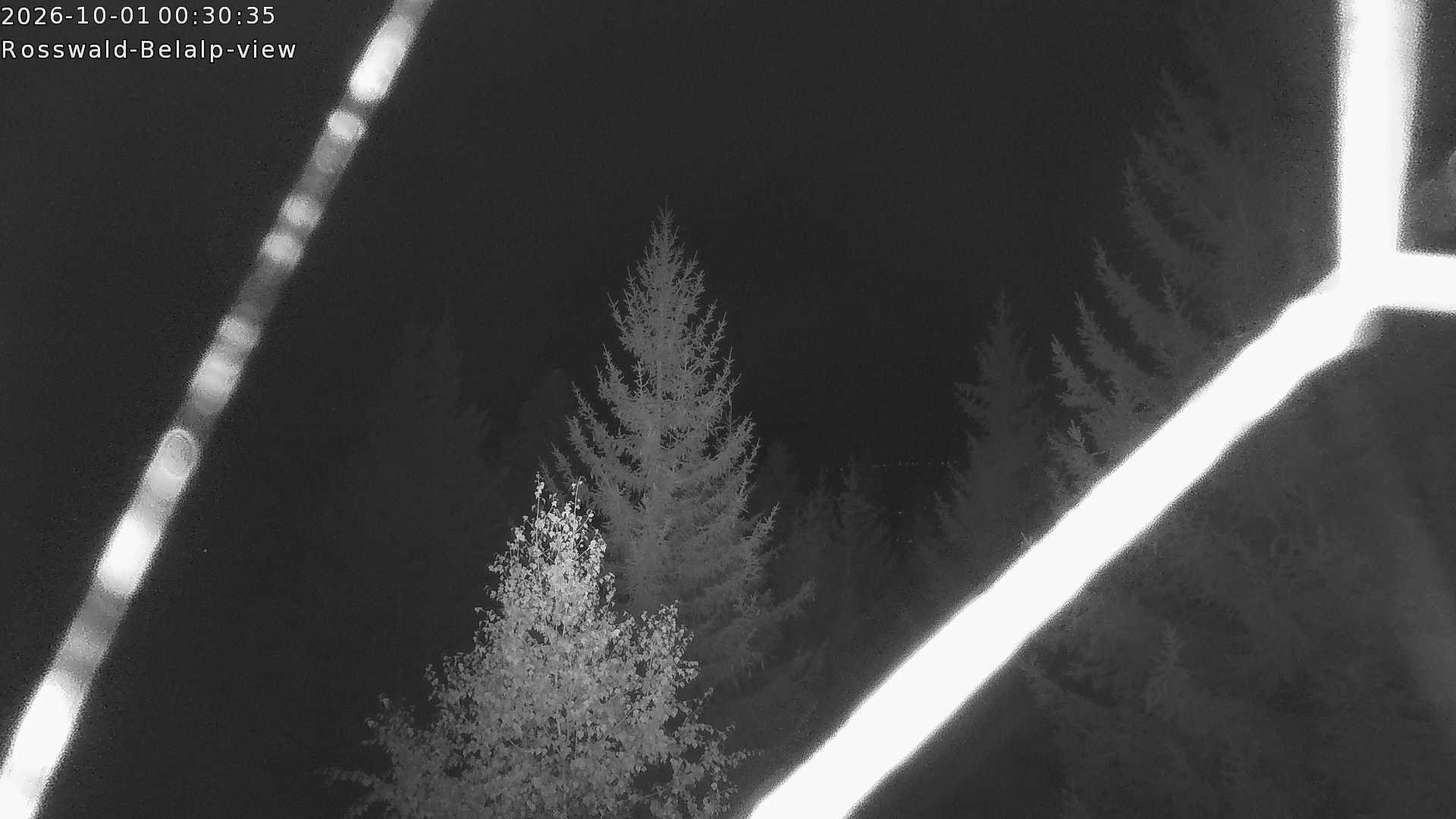 Archived image Webcam Rosswald - Bärgfriedu