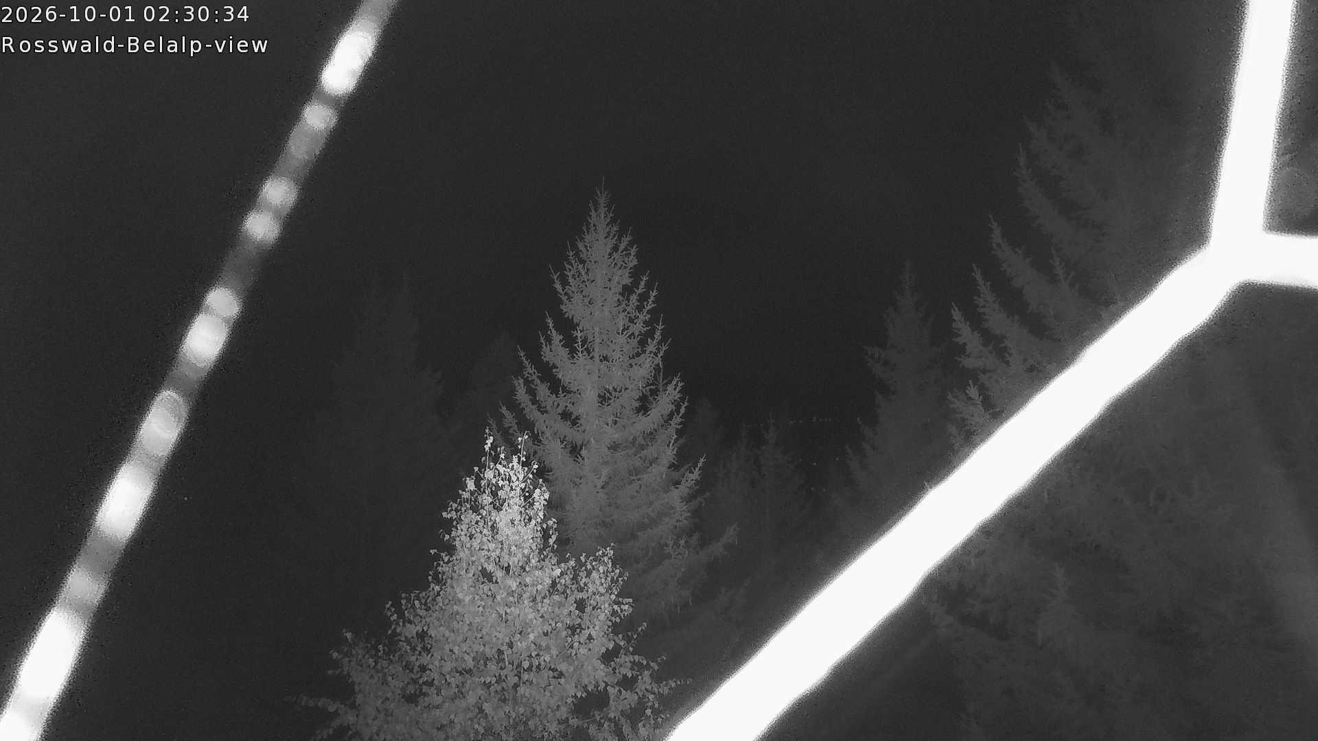 Archived image Webcam Rosswald - Bärgfriedu