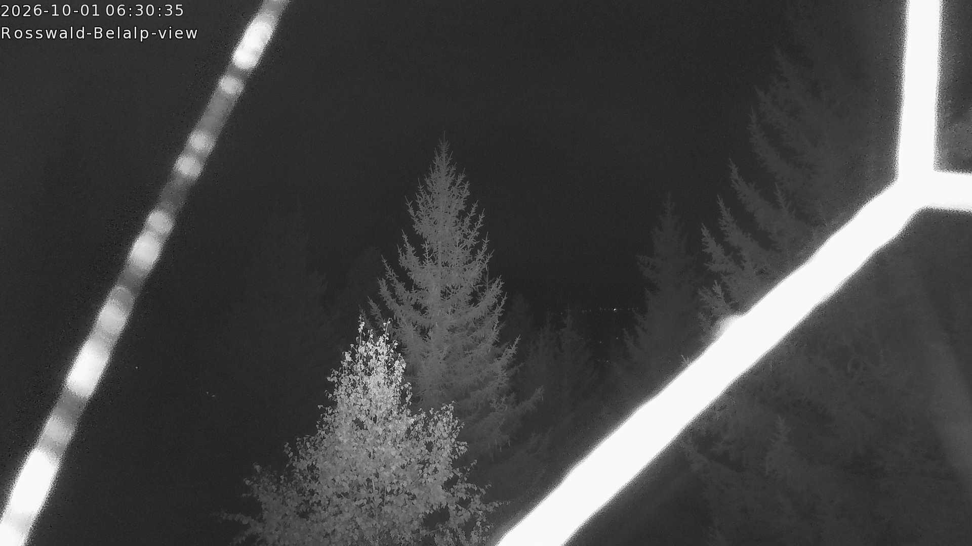Archived image Webcam Rosswald - Bärgfriedu