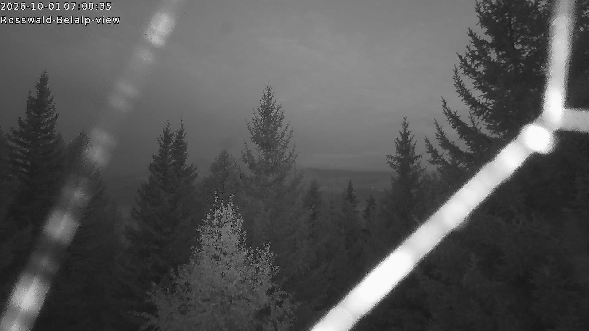 Archived image Webcam Rosswald - Bärgfriedu