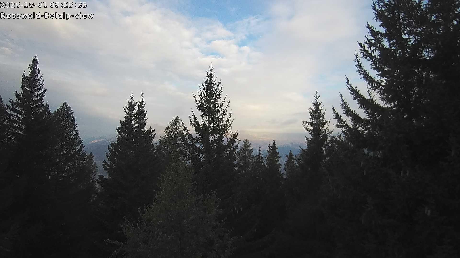 Archived image Webcam Rosswald - Bärgfriedu