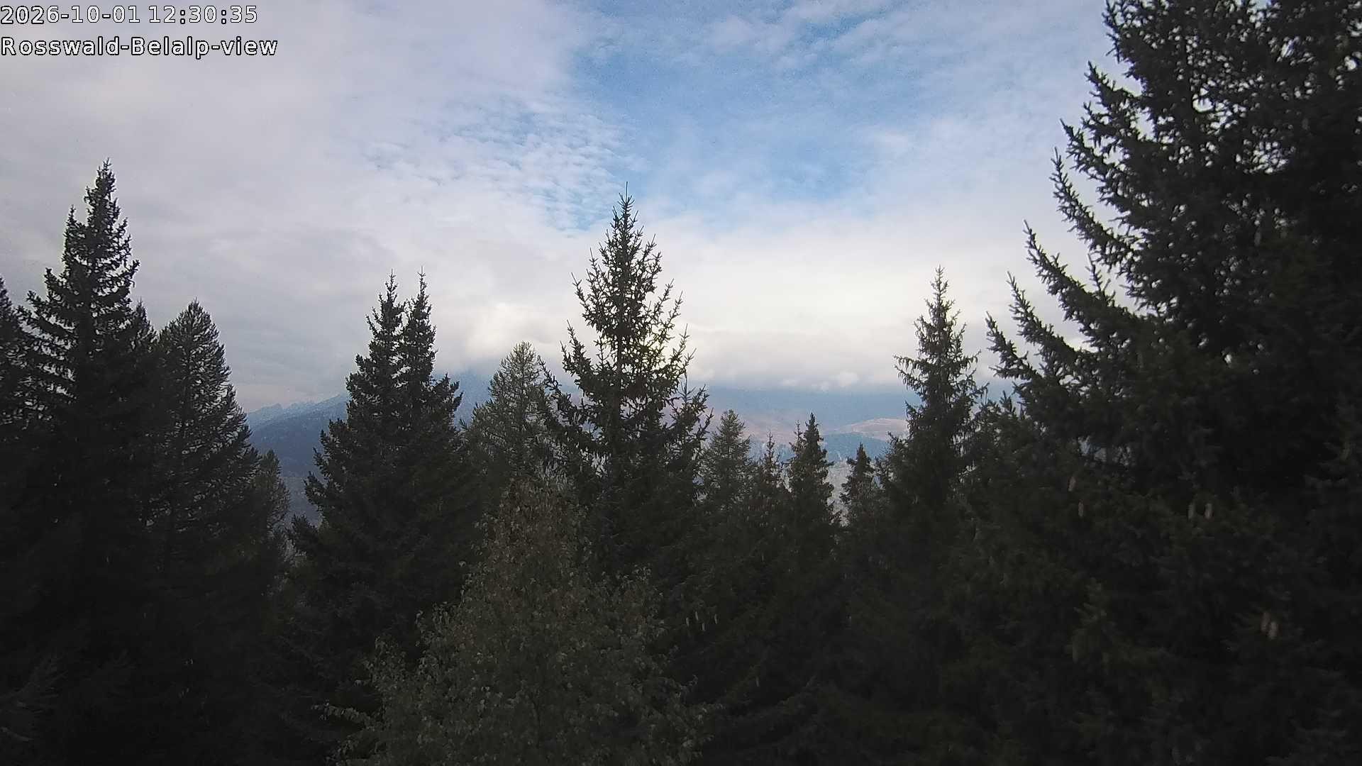Archived image Webcam Rosswald - Bärgfriedu