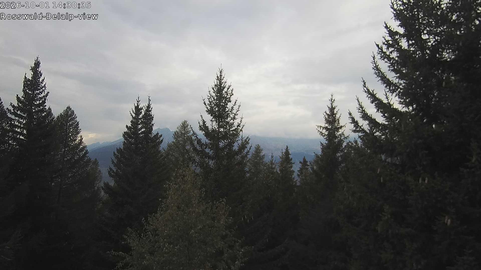 Archived image Webcam Rosswald - Bärgfriedu