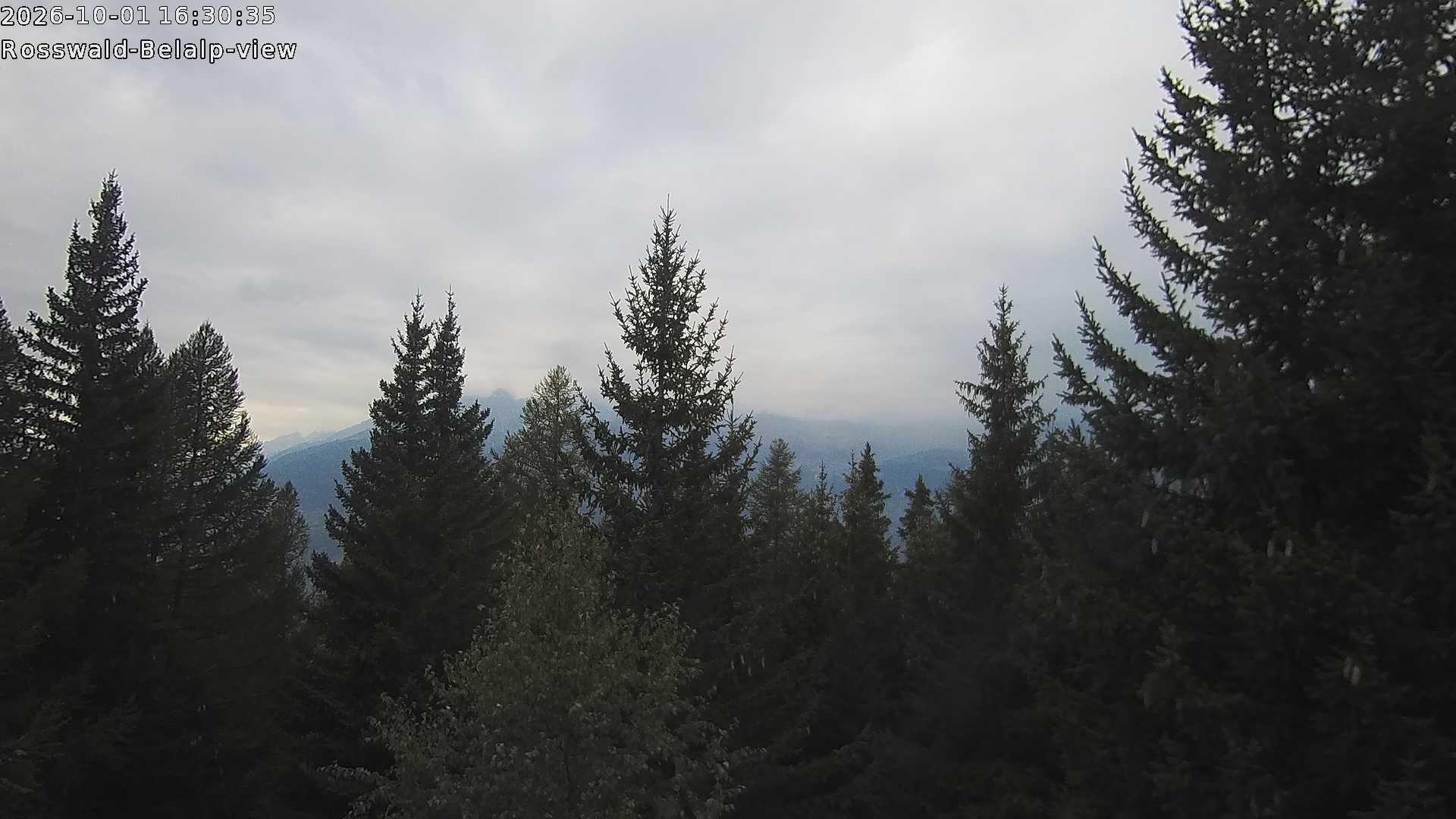 Archived image Webcam Rosswald - Bärgfriedu