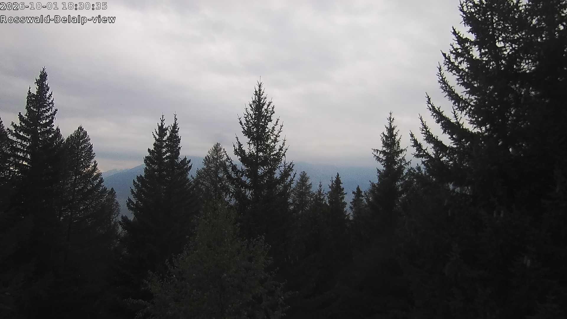 Archiv Foto Webcam Rosswald - Chalet Bergfriede