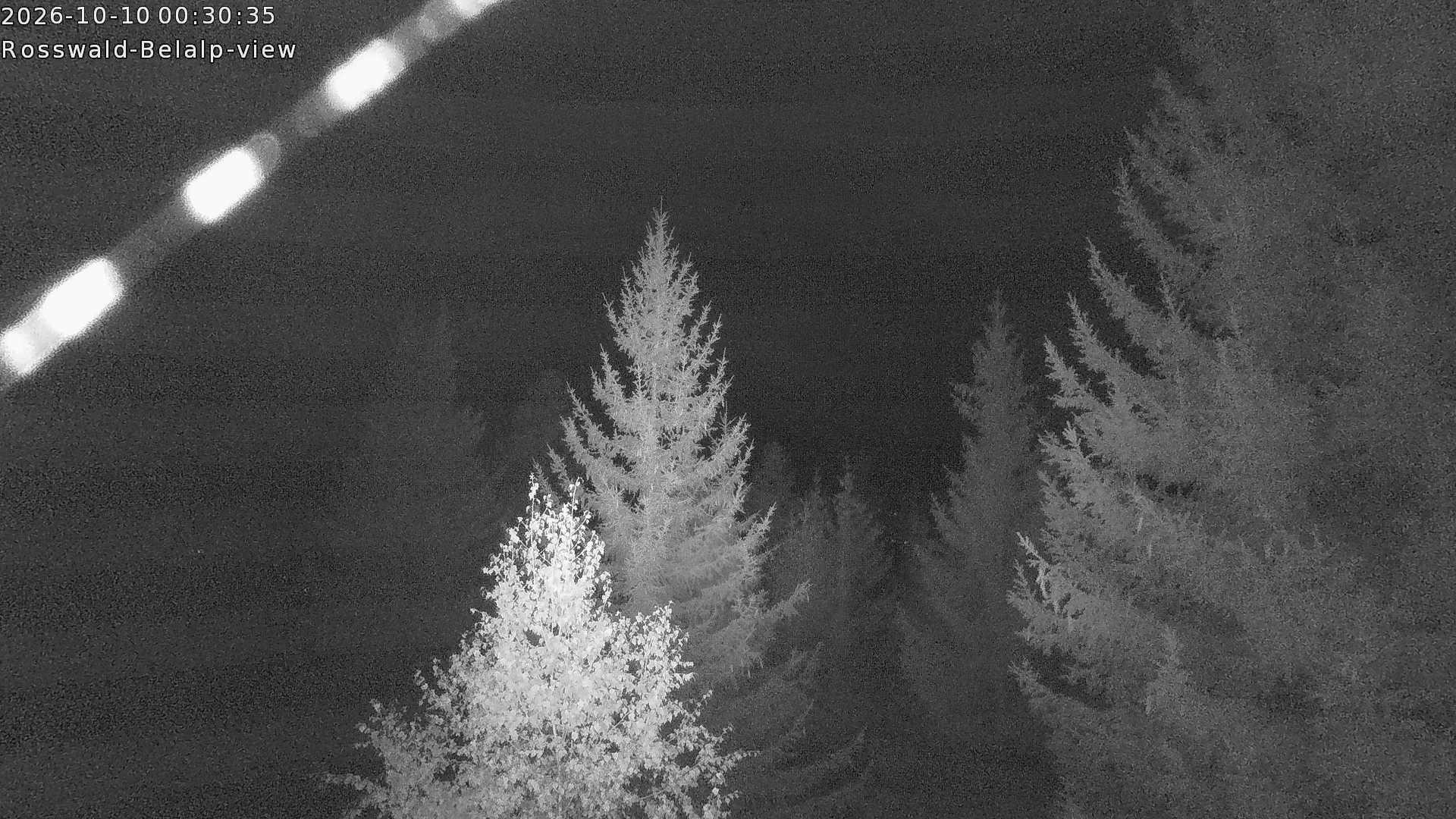Archived image Webcam Rosswald - Bärgfriedu