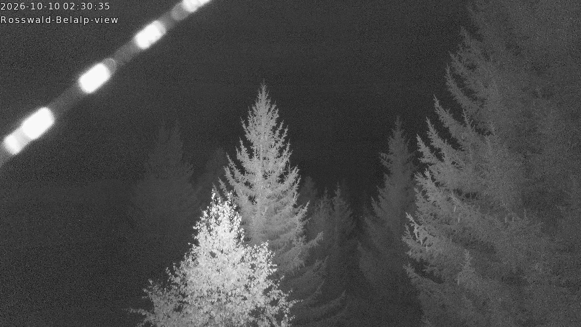 Archived image Webcam Rosswald - Bärgfriedu