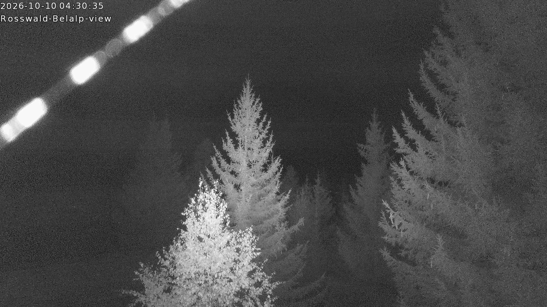Archived image Webcam Rosswald - Bärgfriedu