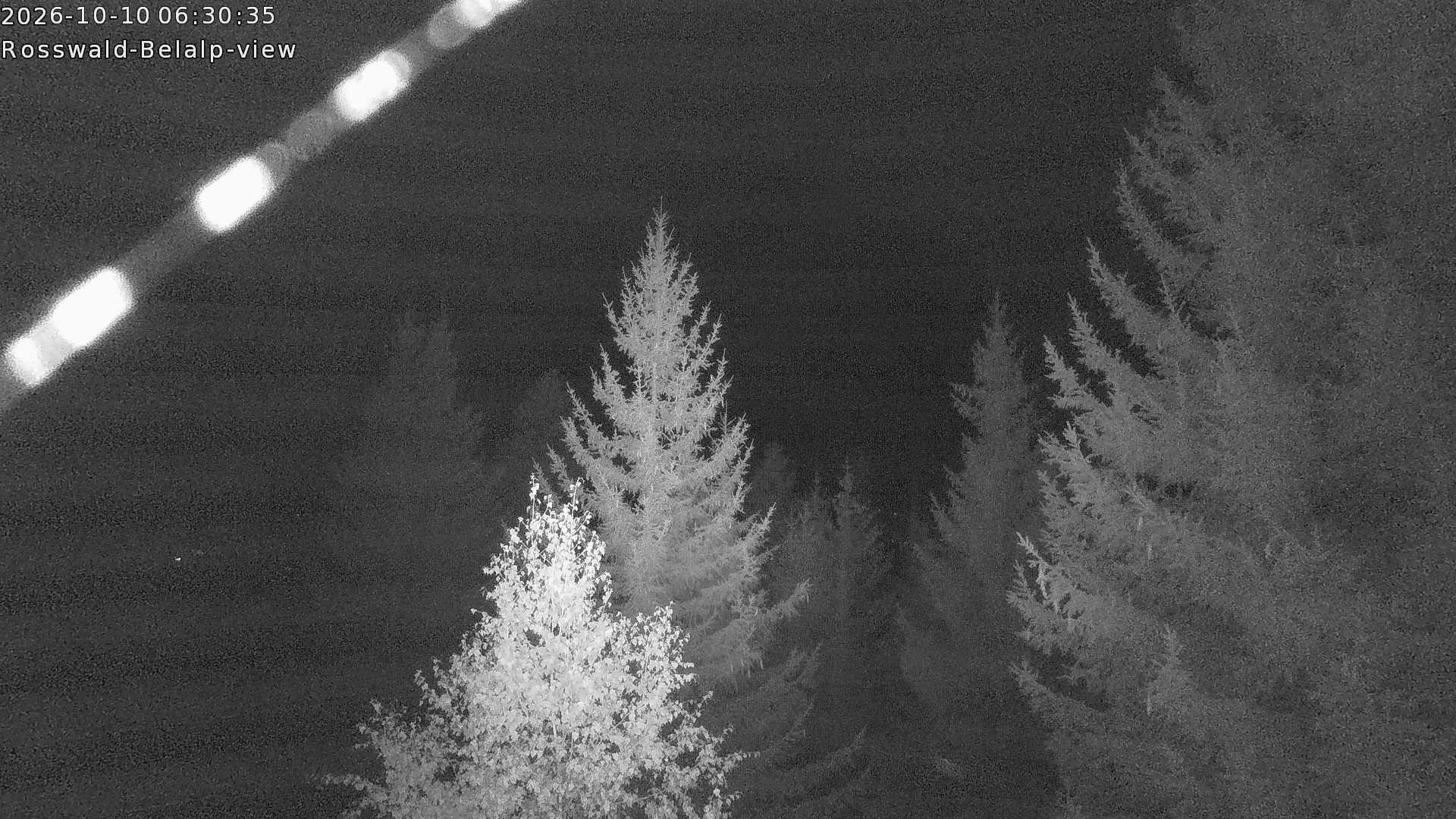 Archived image Webcam Rosswald - Bärgfriedu