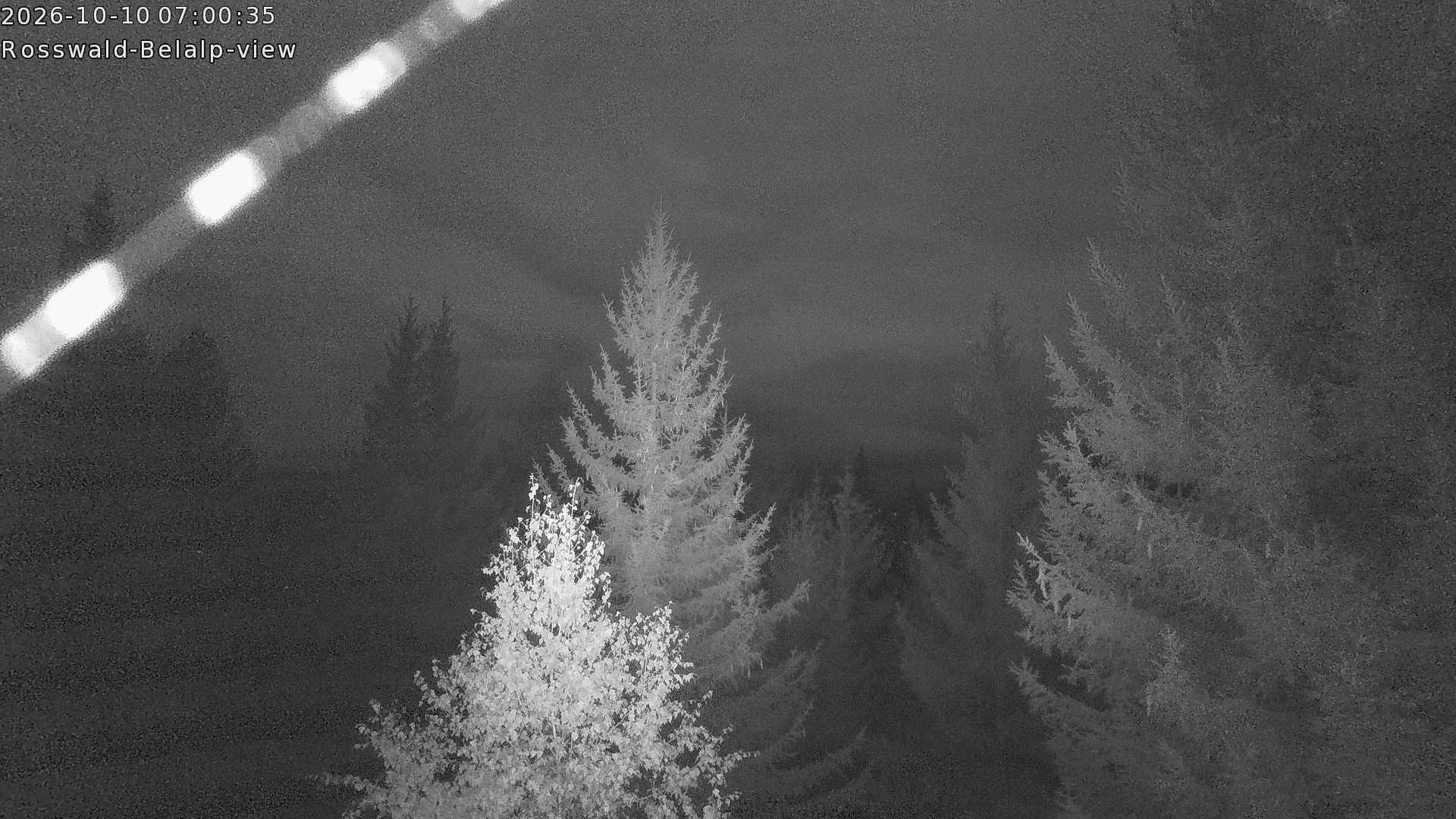 Archived image Webcam Rosswald - Bärgfriedu