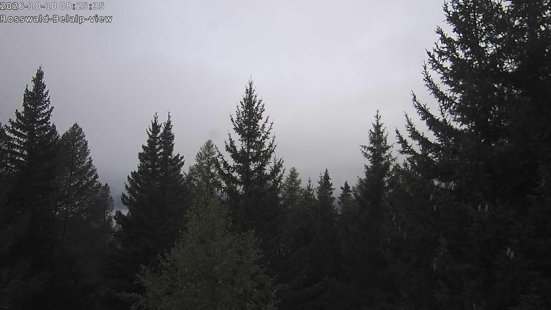 Archived image Webcam Rosswald - Bärgfriedu