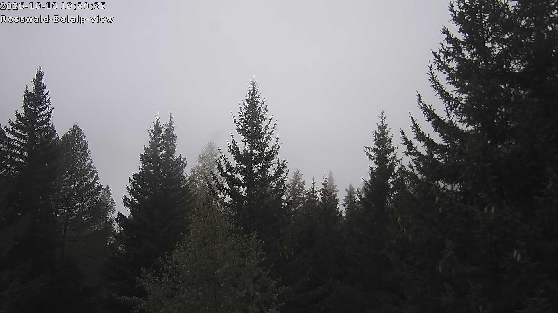 Archived image Webcam Rosswald - Bärgfriedu