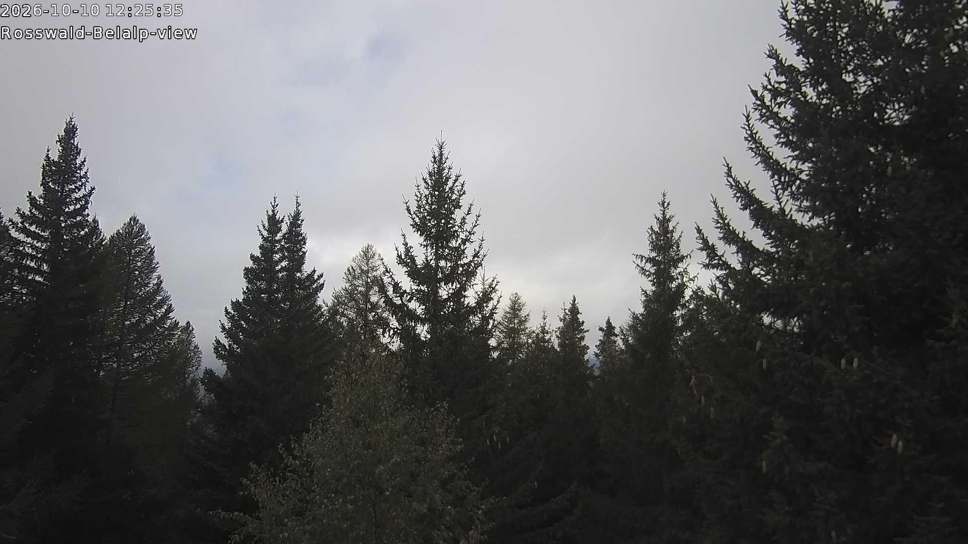 Archived image Webcam Rosswald - Bärgfriedu