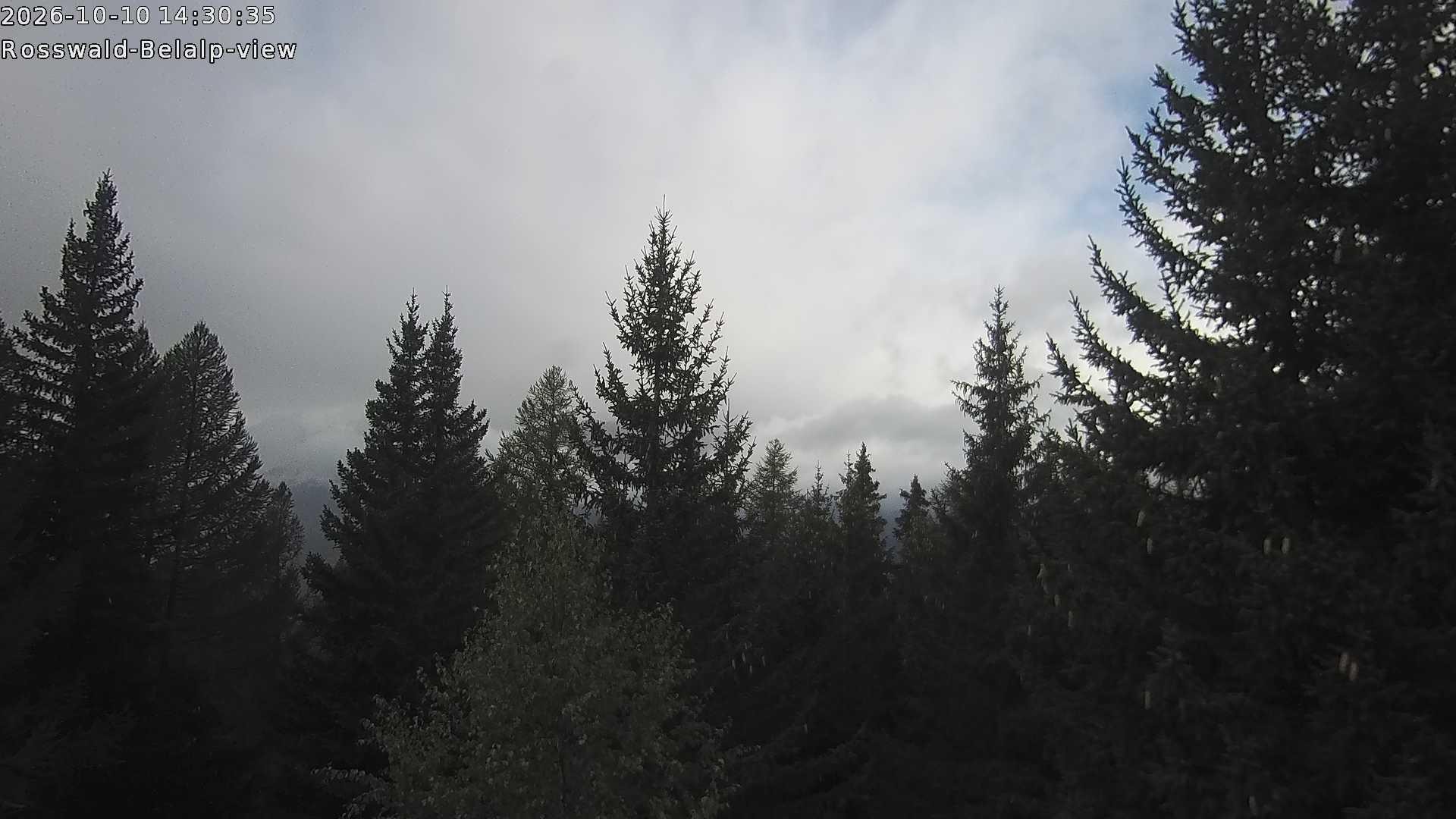 Archived image Webcam Rosswald - Bärgfriedu