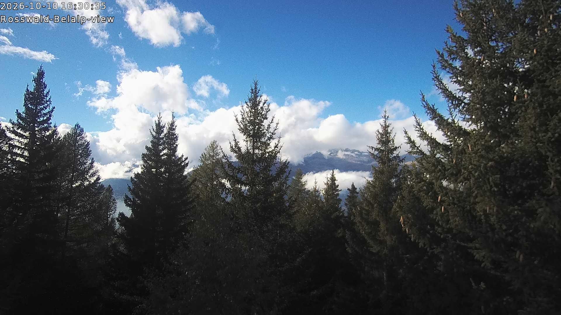 Archived image Webcam Rosswald - Bärgfriedu