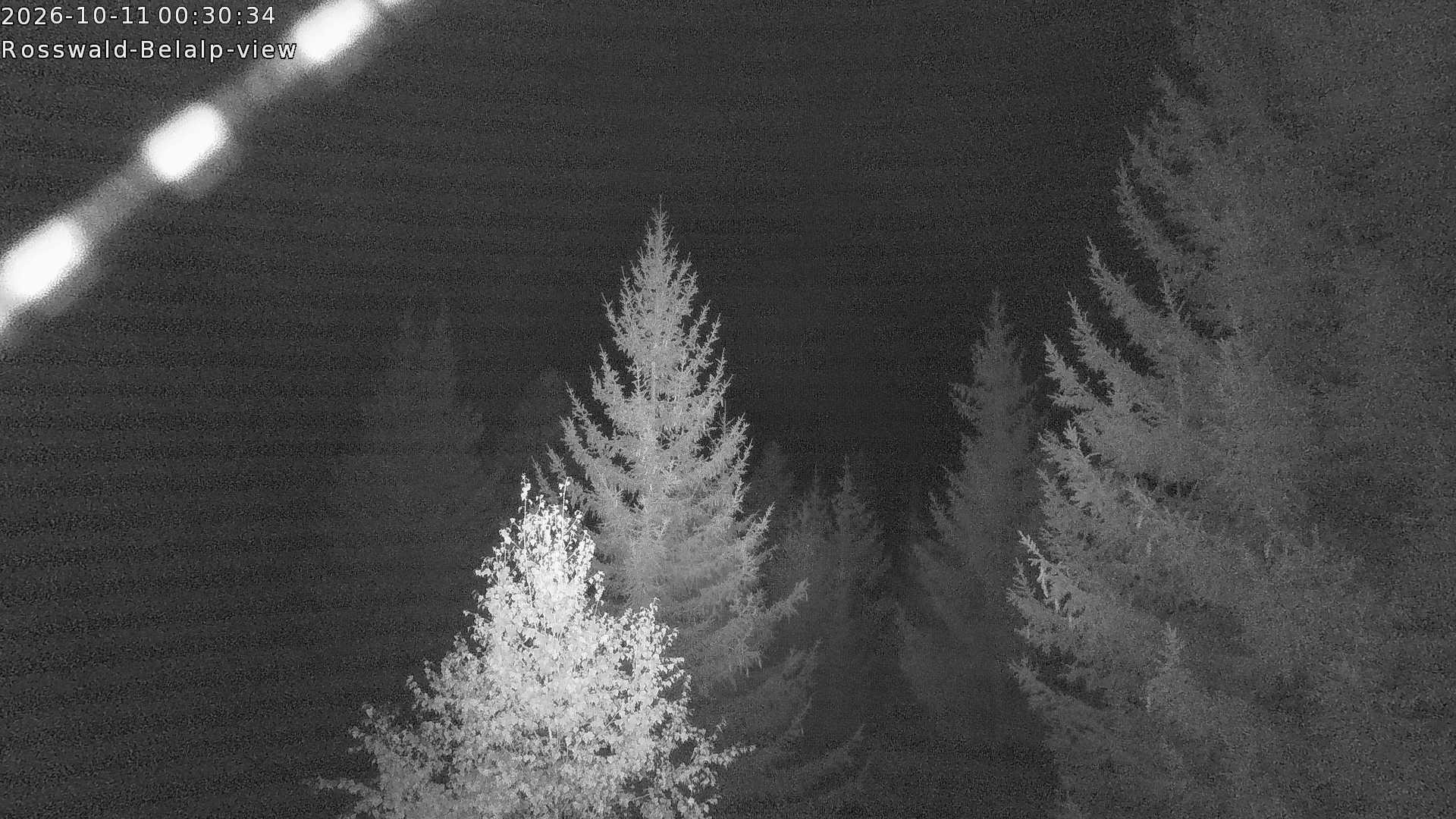 Archived image Webcam Rosswald - Bärgfriedu