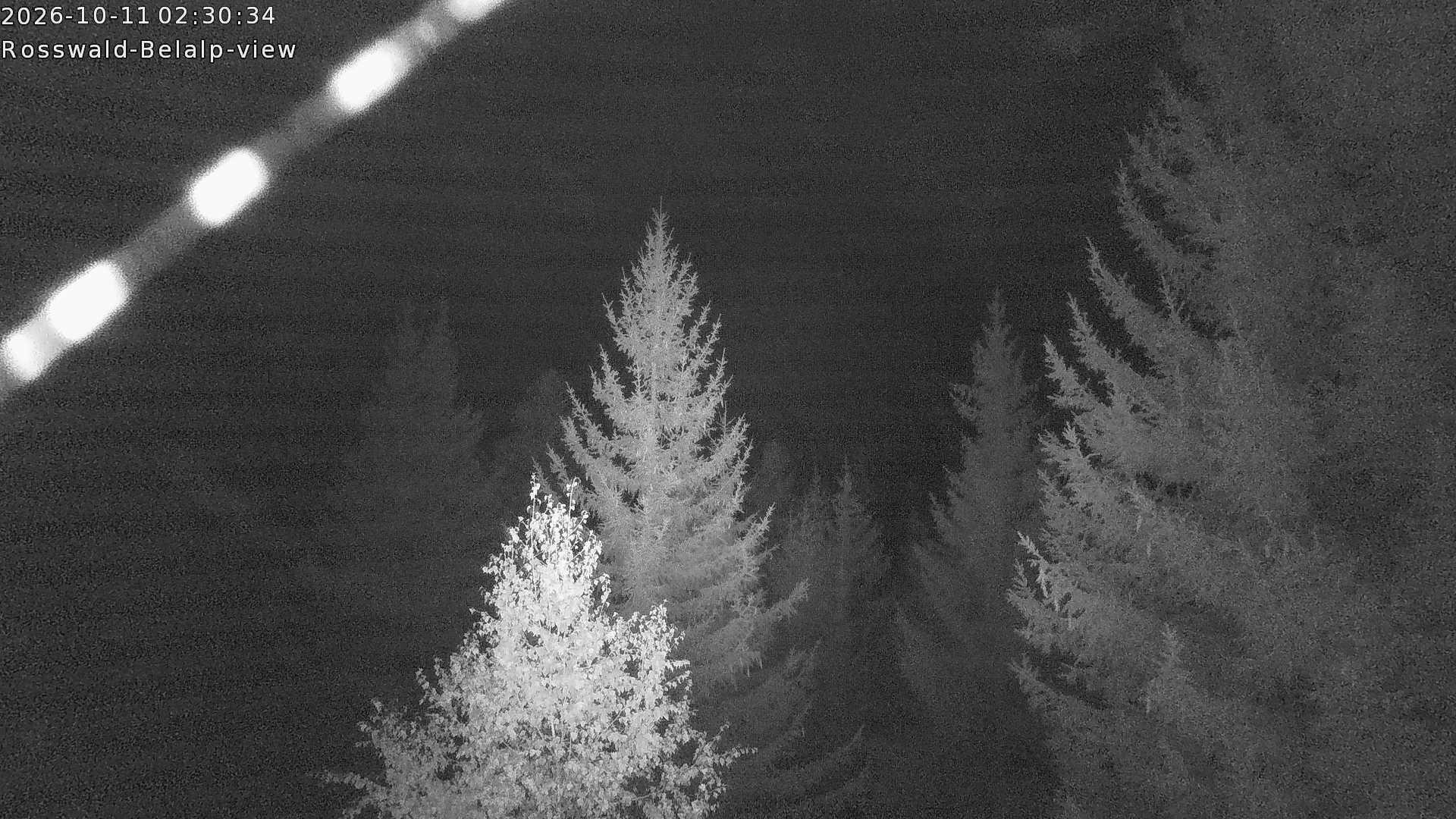 Archived image Webcam Rosswald - Bärgfriedu