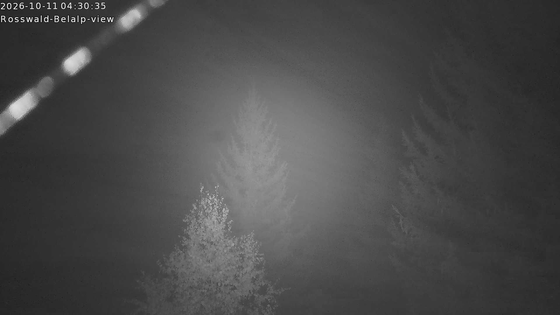 Archived image Webcam Rosswald - Bärgfriedu