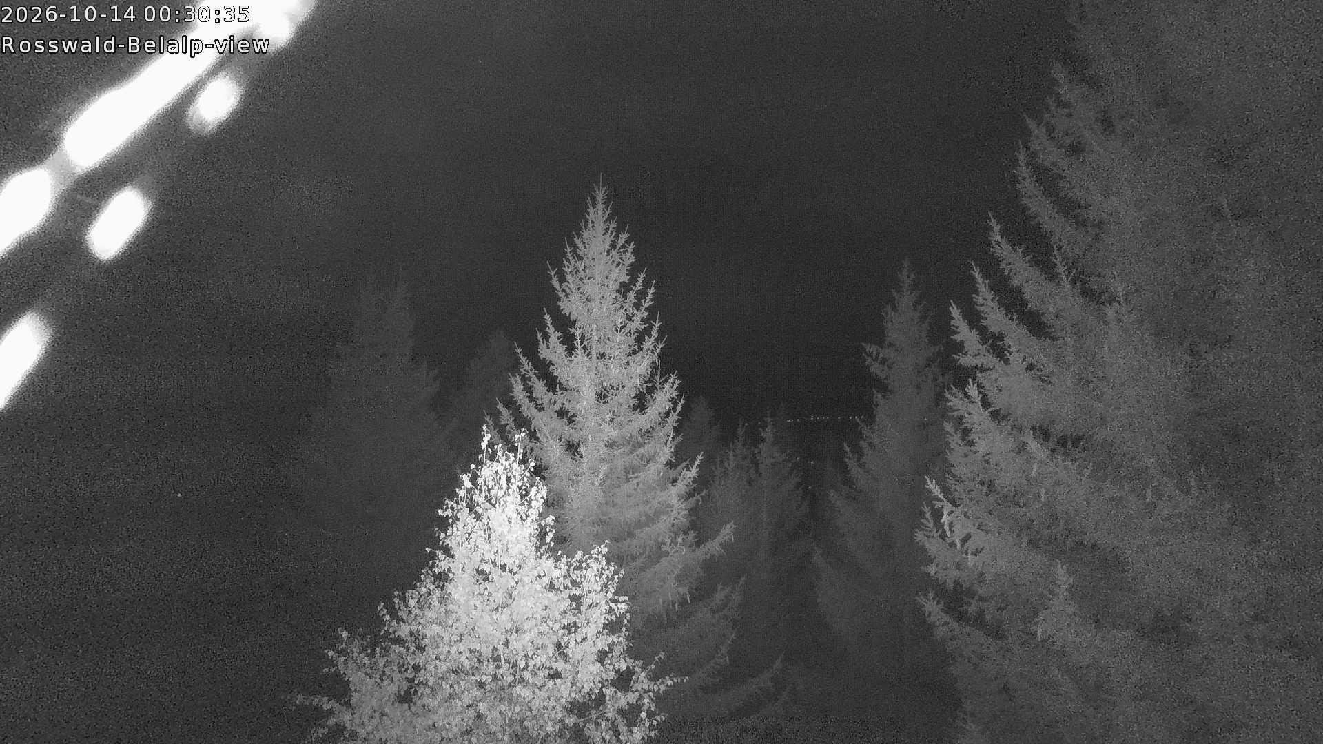 Archived image Webcam Rosswald - Bärgfriedu