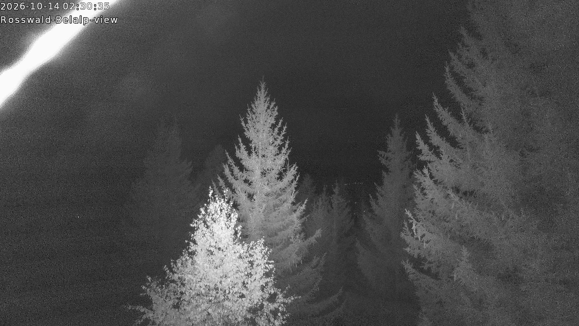 Archived image Webcam Rosswald - Bärgfriedu