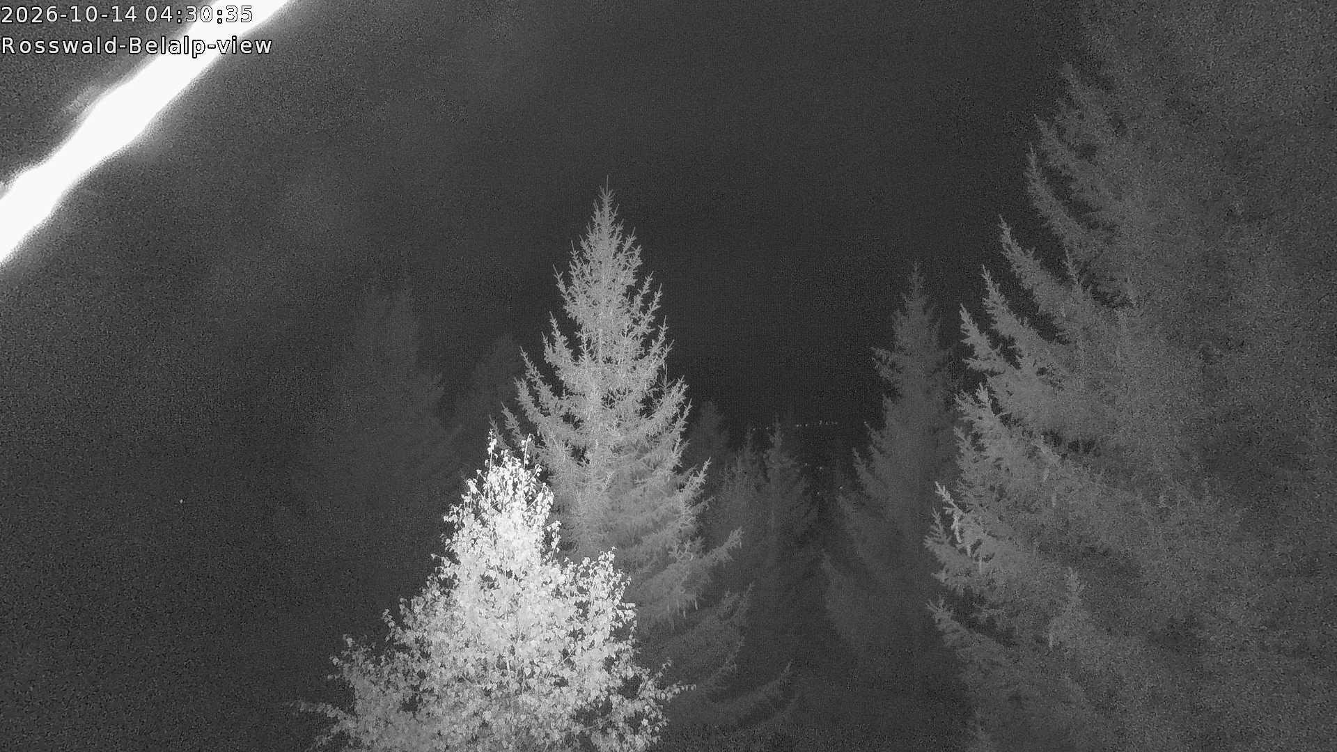 Archived image Webcam Rosswald - Bärgfriedu