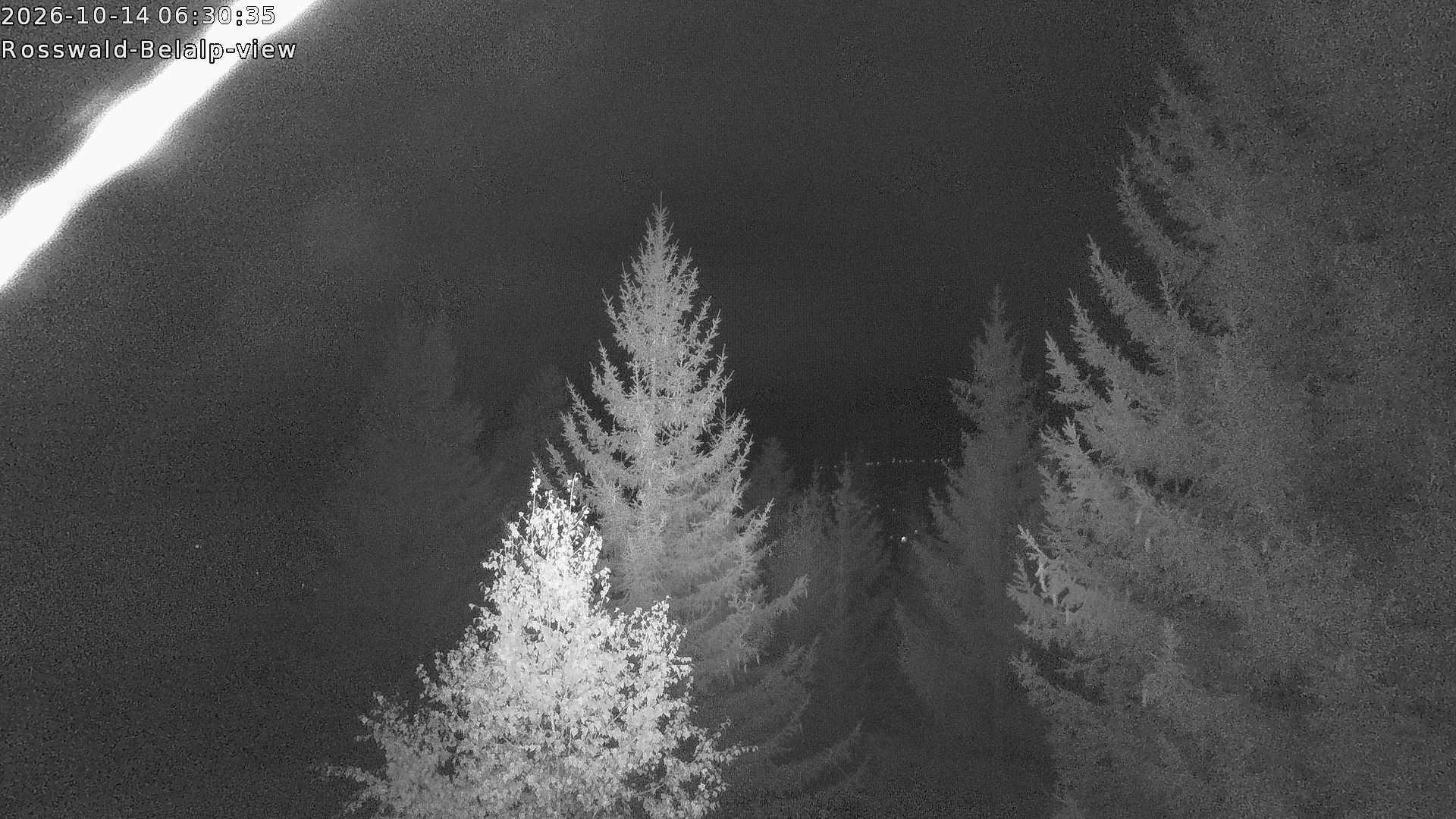 Archived image Webcam Rosswald - Bärgfriedu