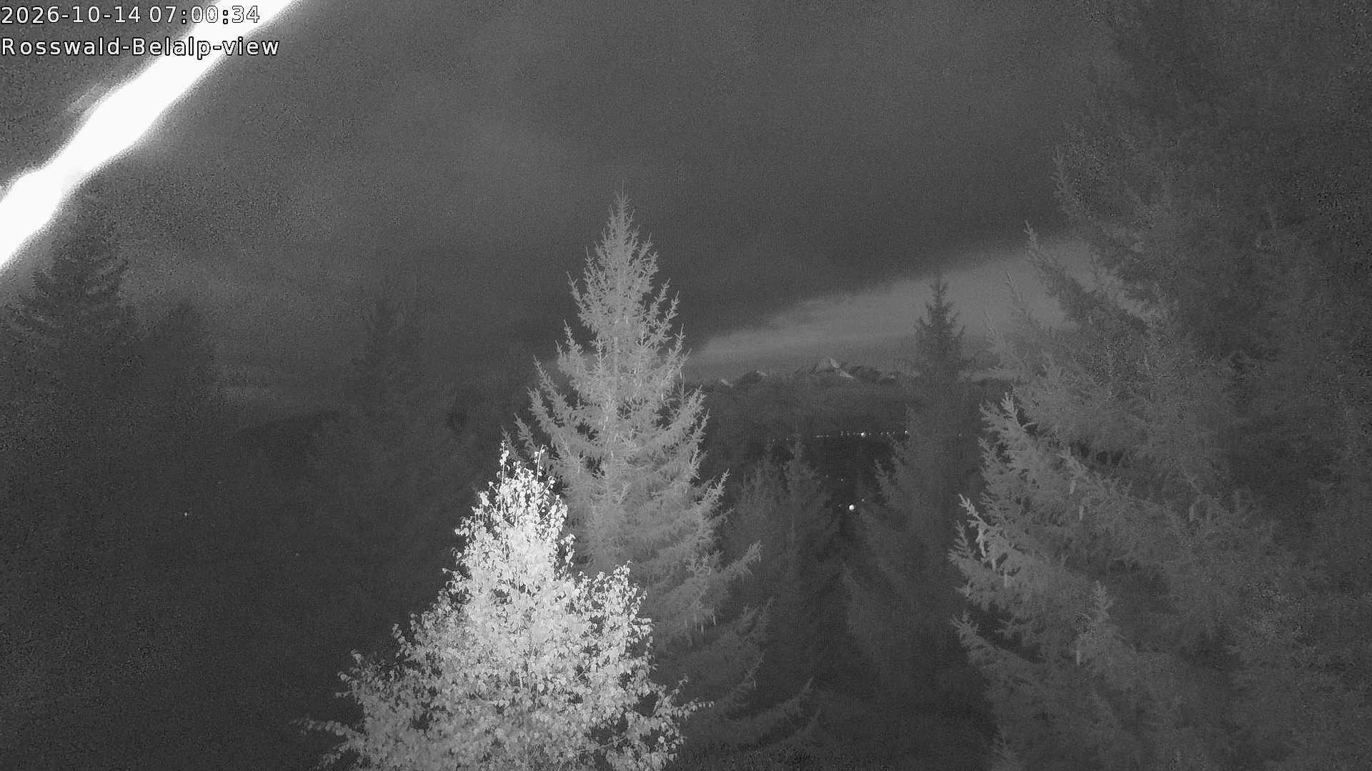 Archived image Webcam Rosswald - Bärgfriedu