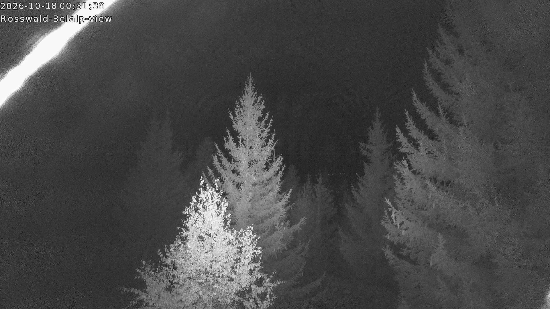 Archiv Foto Webcam Rosswald - Chalet Bergfriede