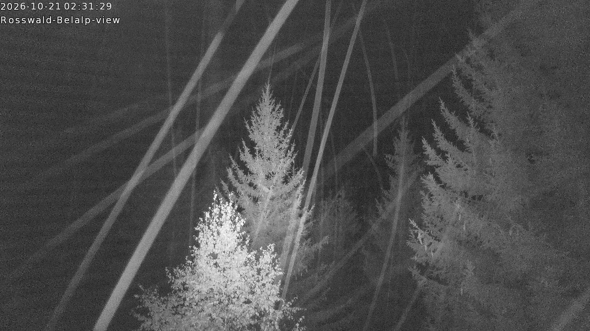 Archiv Foto Webcam Rosswald - Chalet Bergfriede