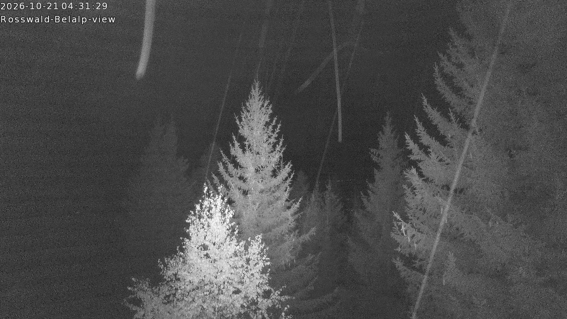 Archiv Foto Webcam Rosswald - Chalet Bergfriede