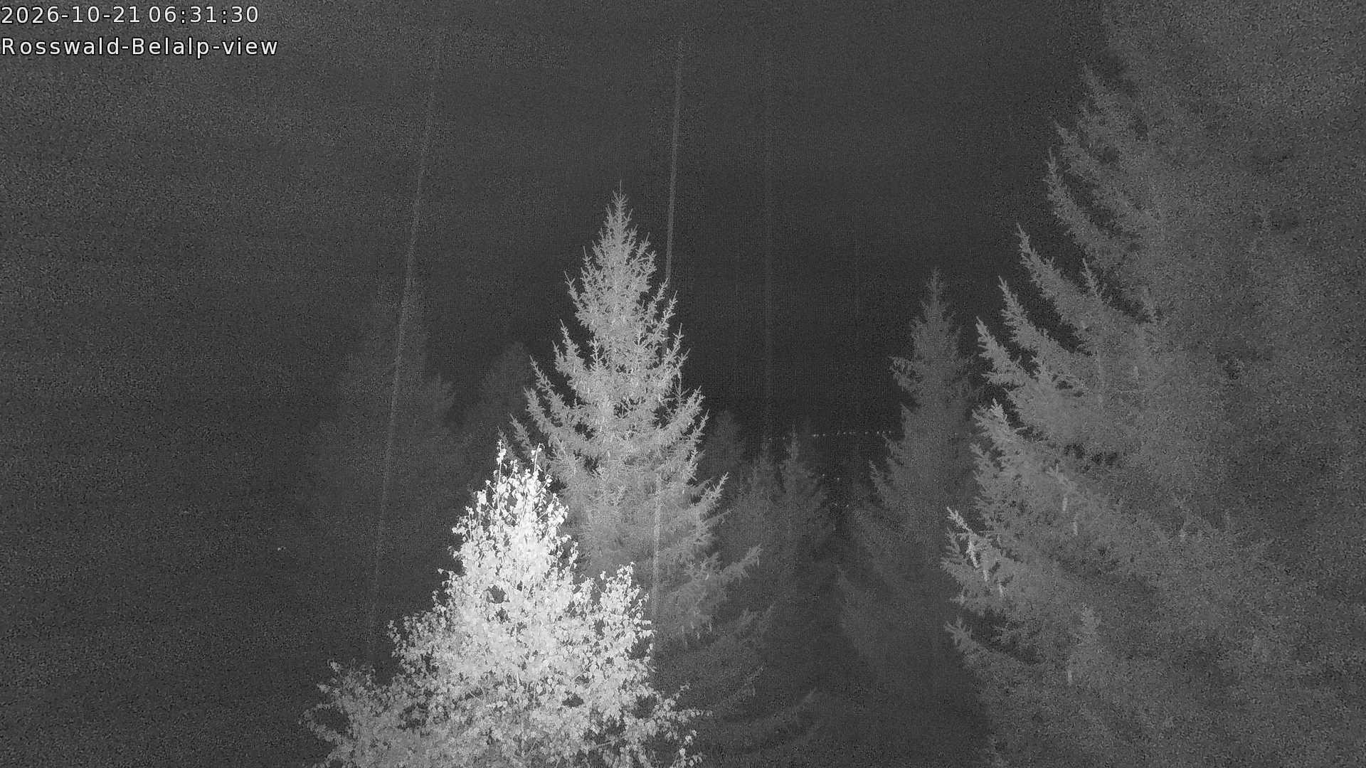 Archiv Foto Webcam Rosswald - Chalet Bergfriede