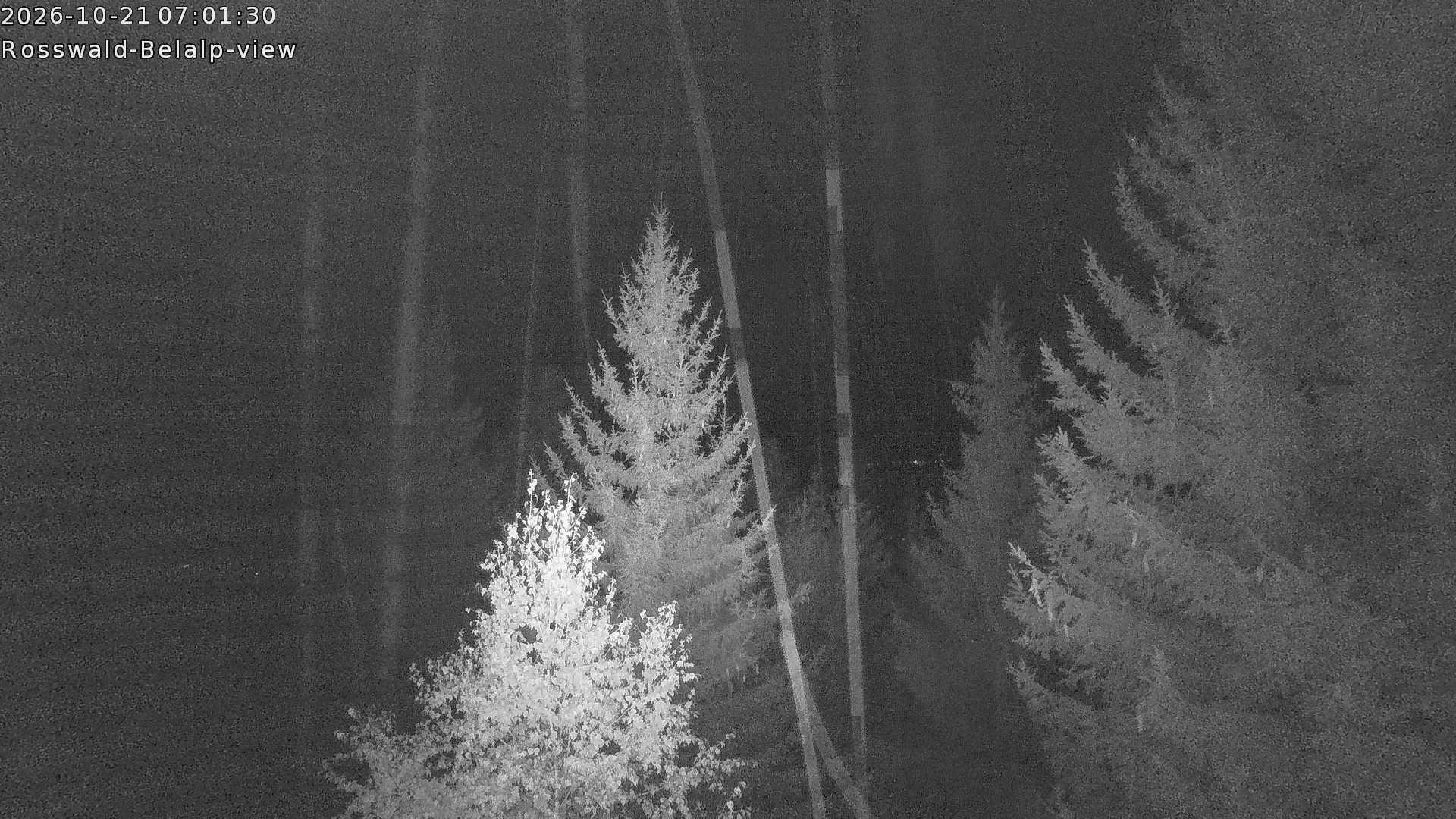Archiv Foto Webcam Rosswald - Chalet Bergfriede
