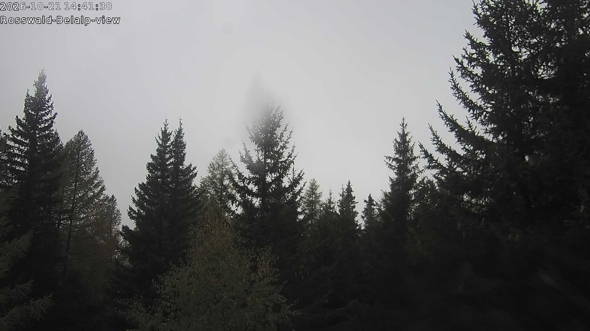 Archived image Webcam Rosswald - Bärgfriedu