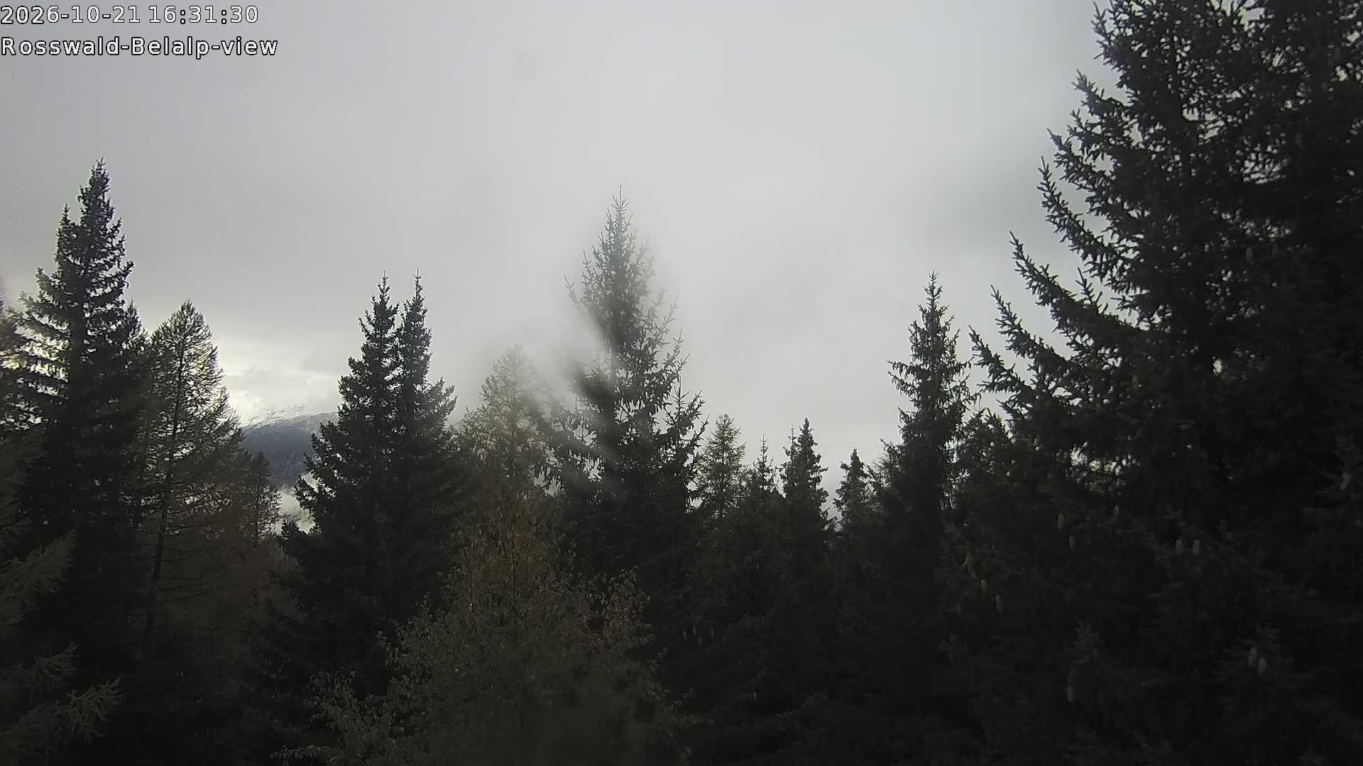 Archived image Webcam Rosswald - Bärgfriedu