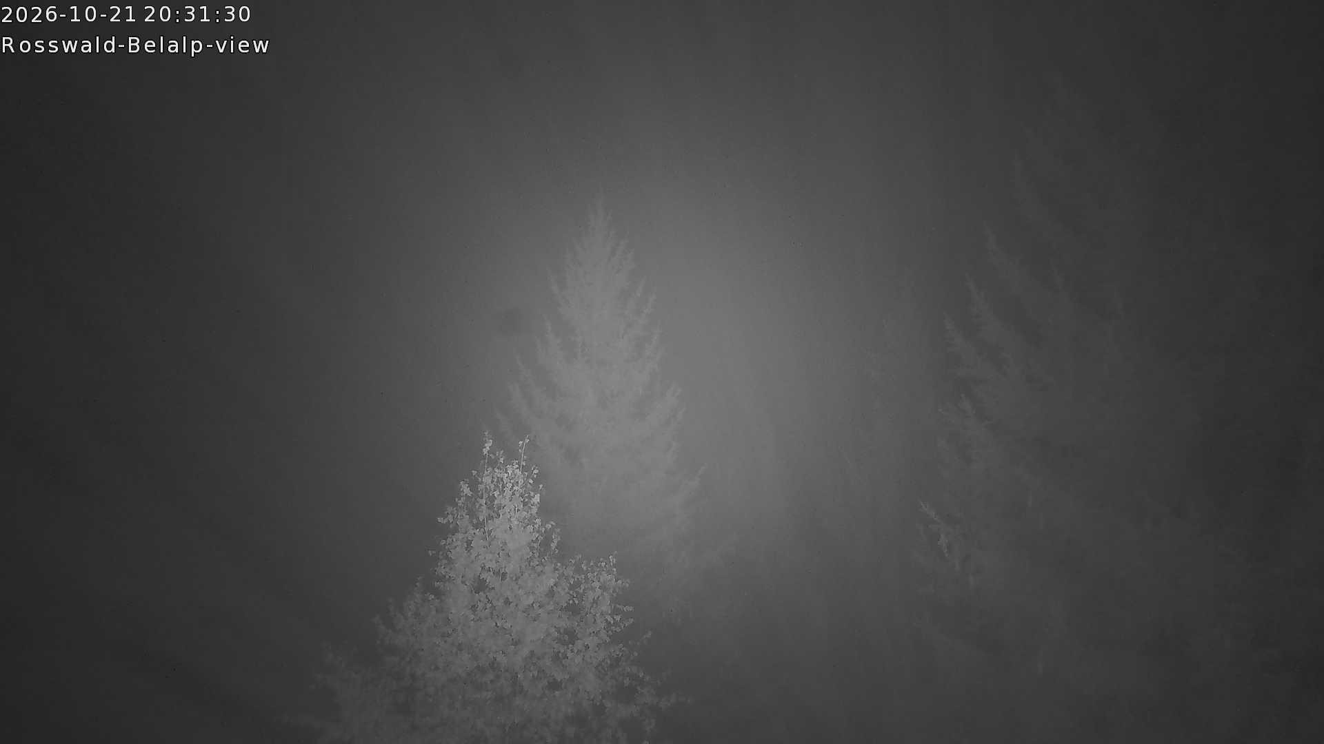 Archived image Webcam Rosswald - Bärgfriedu