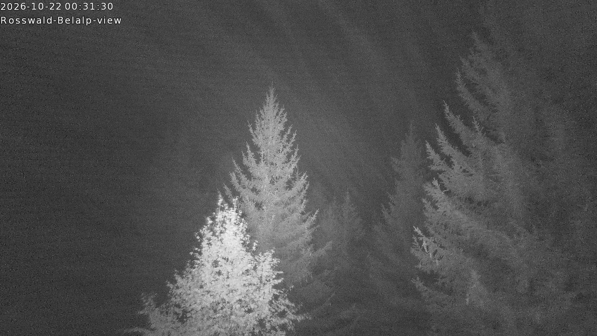 Archived image Webcam Rosswald - Bärgfriedu