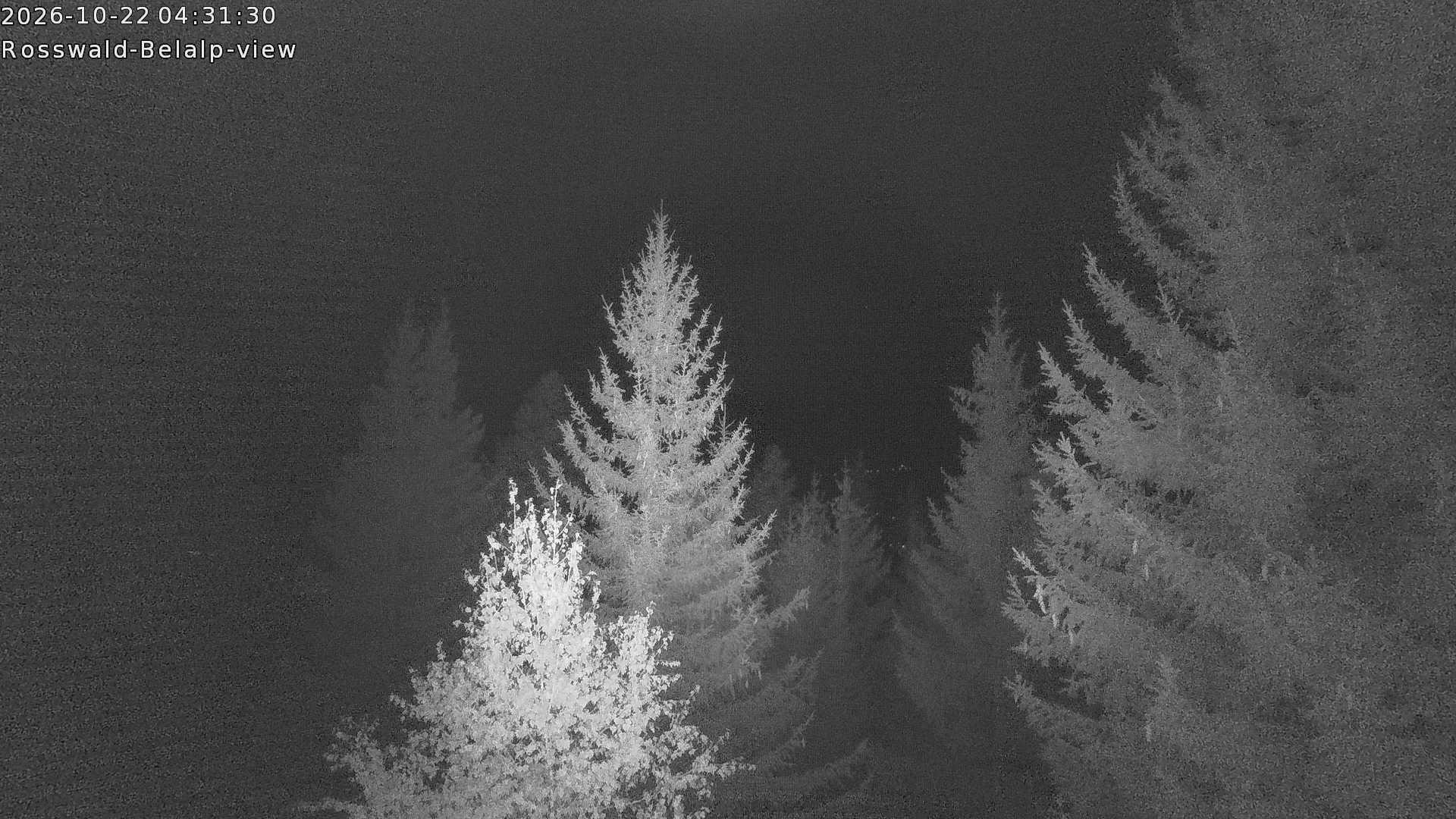 Archiv Foto Webcam Rosswald - Chalet Bergfriede