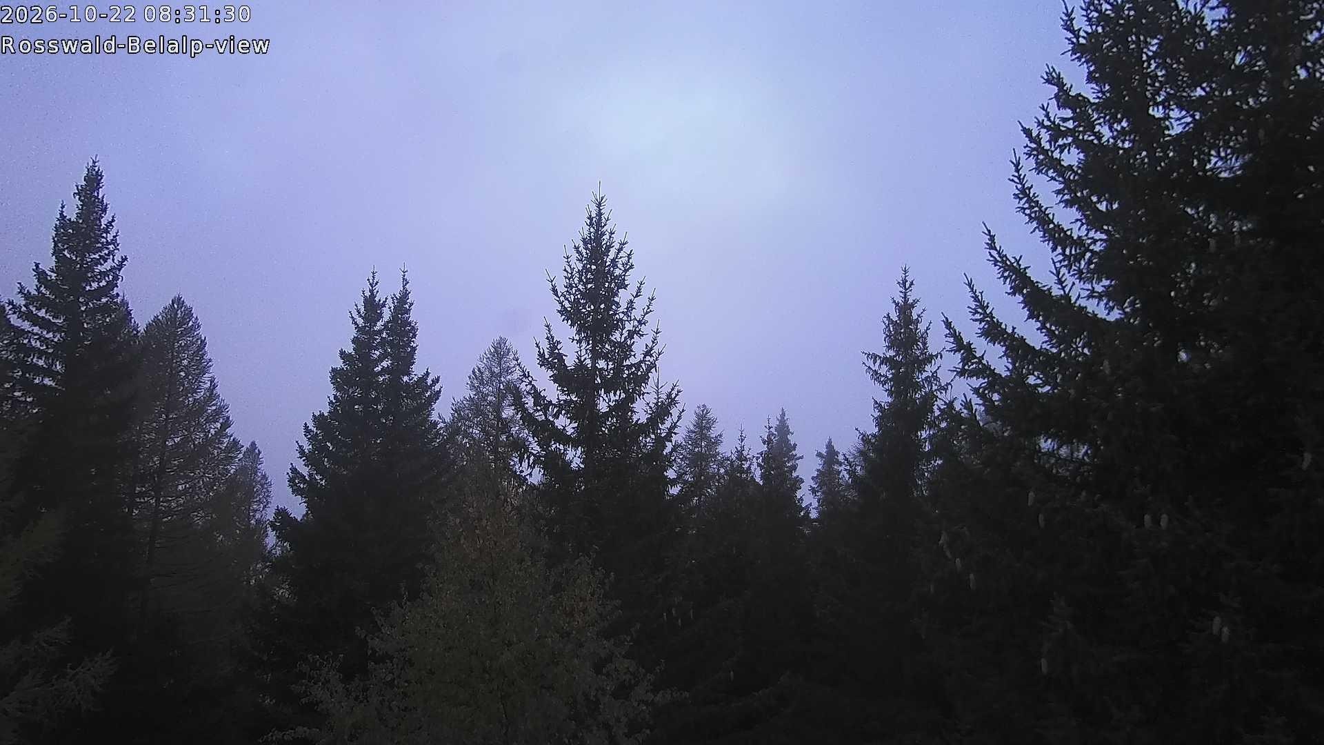 Archiv Foto Webcam Rosswald - Chalet Bergfriede
