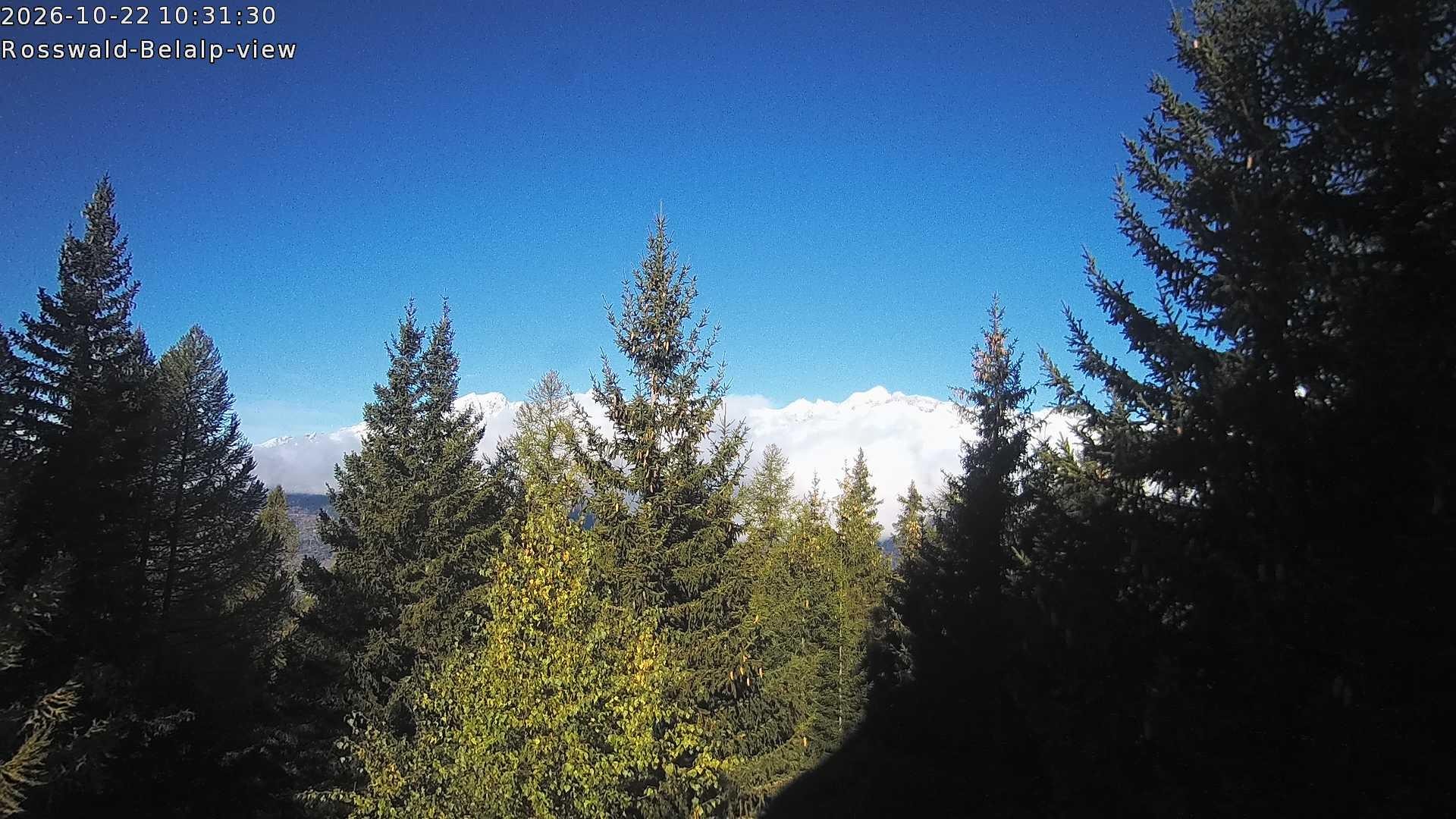 Archiv Foto Webcam Rosswald - Chalet Bergfriede