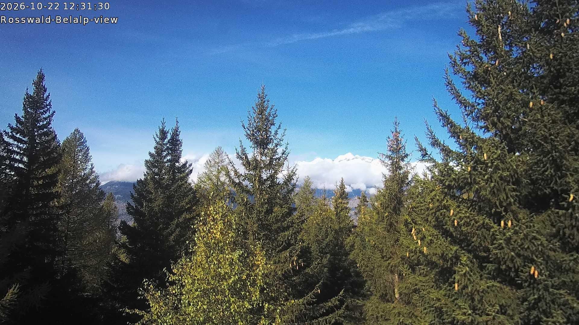 Archiv Foto Webcam Rosswald - Chalet Bergfriede