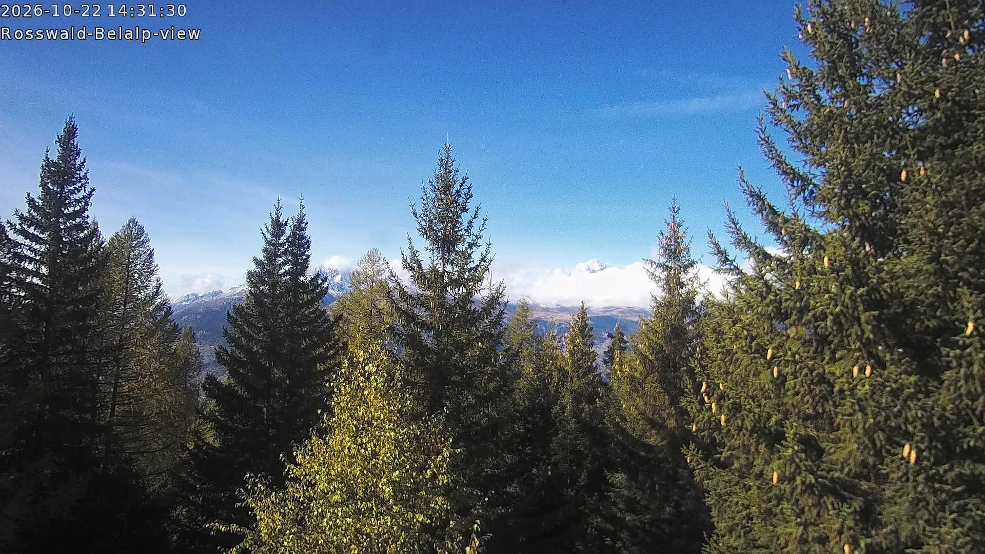 Archiv Foto Webcam Rosswald - Chalet Bergfriede