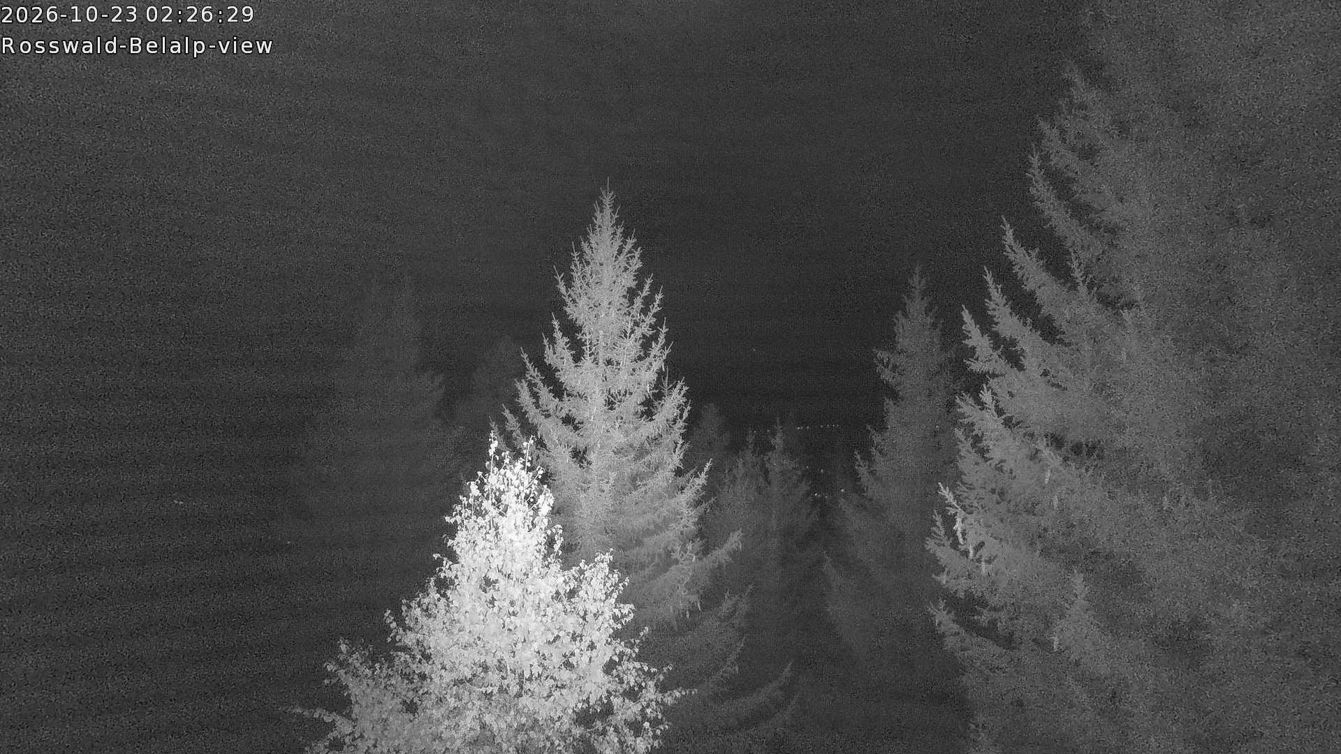 Archived image Webcam Rosswald - Bärgfriedu