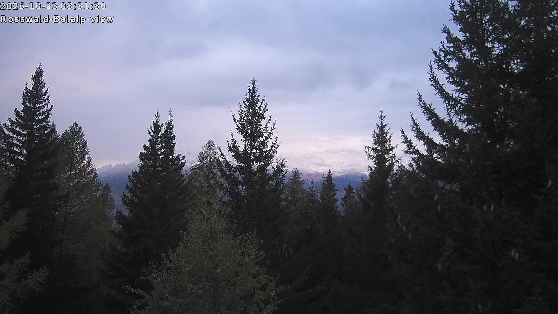 Archived image Webcam Rosswald - Bärgfriedu
