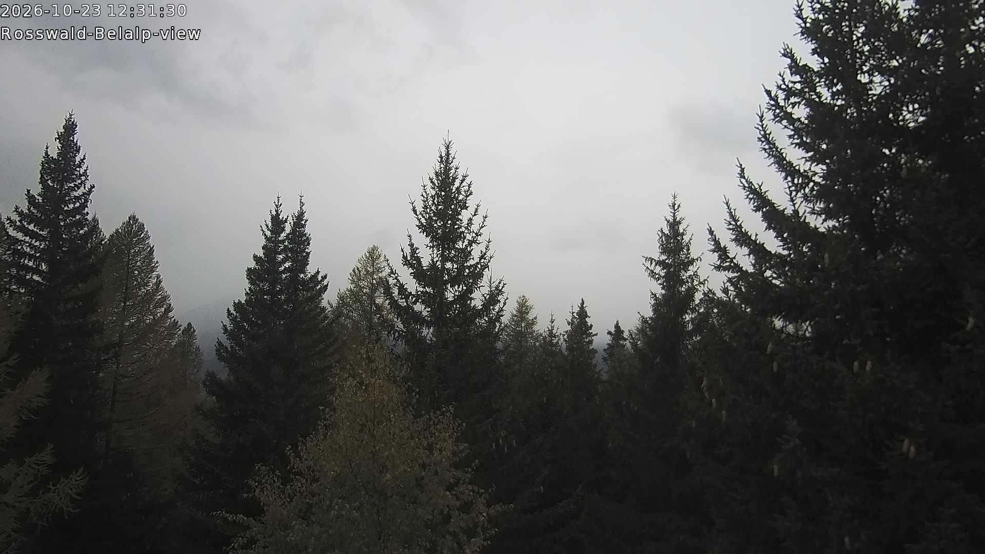 Archived image Webcam Rosswald - Bärgfriedu