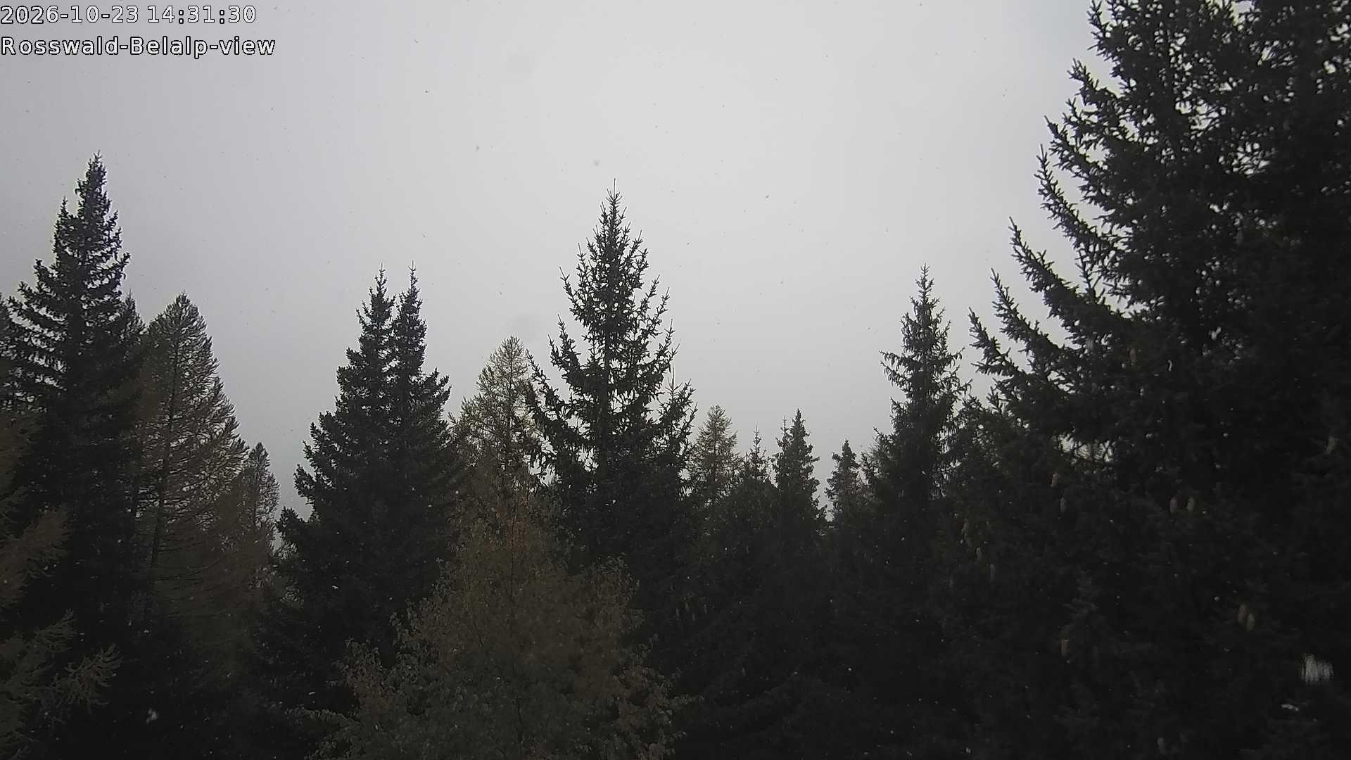 Archived image Webcam Rosswald - Bärgfriedu