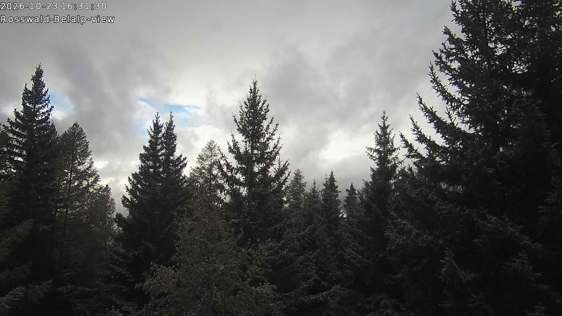 Archived image Webcam Rosswald - Bärgfriedu