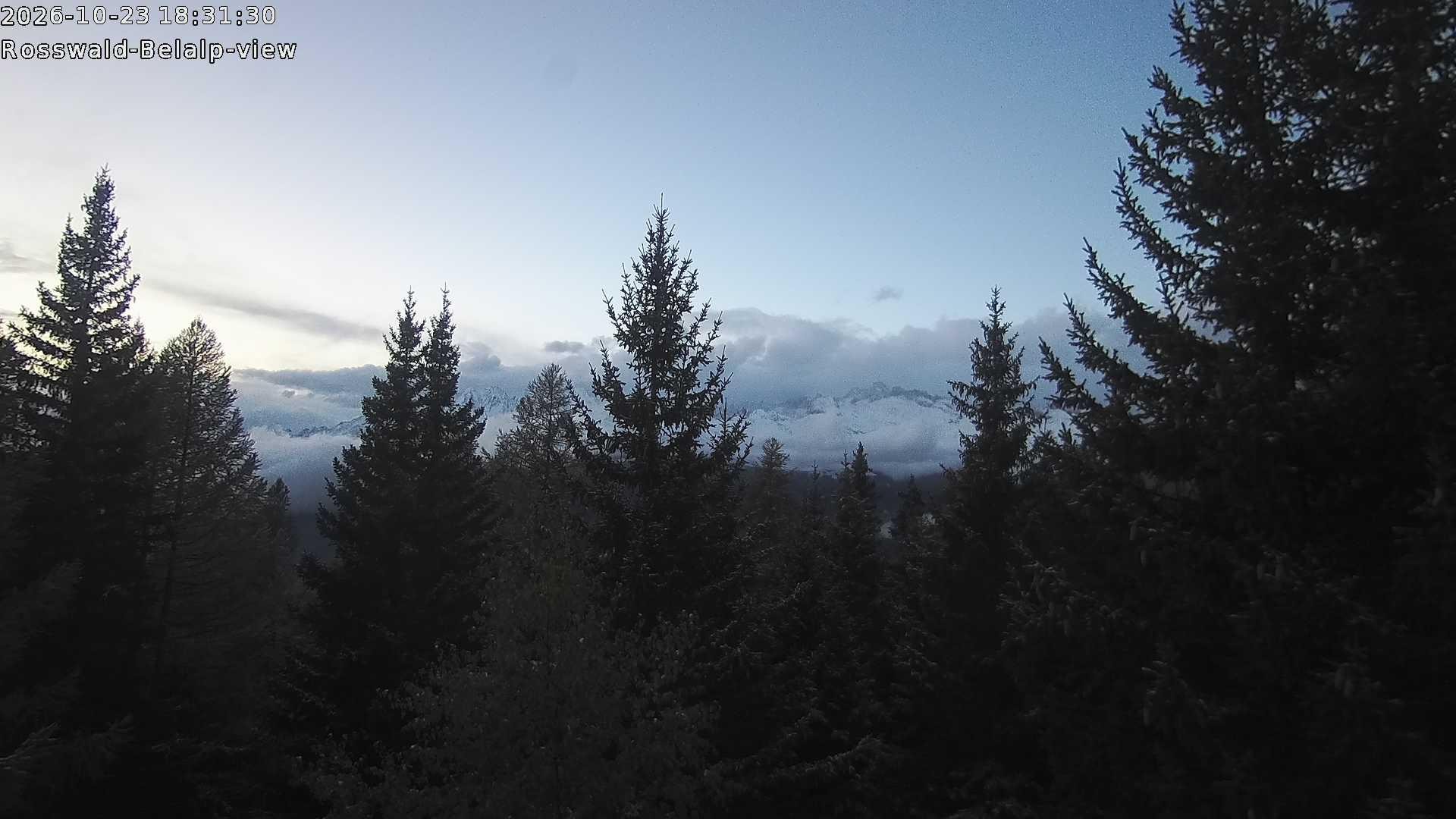 Archived image Webcam Rosswald - Bärgfriedu