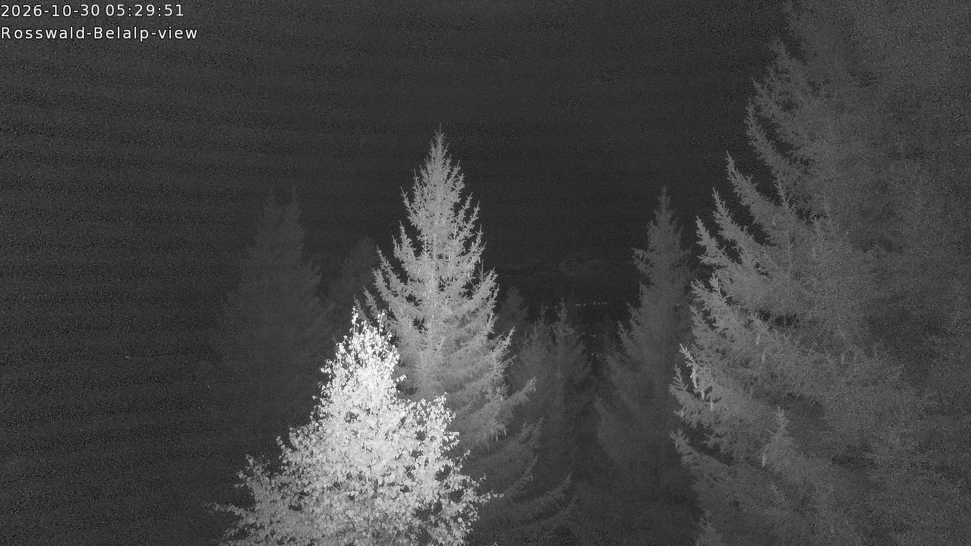 Archiv Foto Webcam Rosswald - Chalet Bergfriede